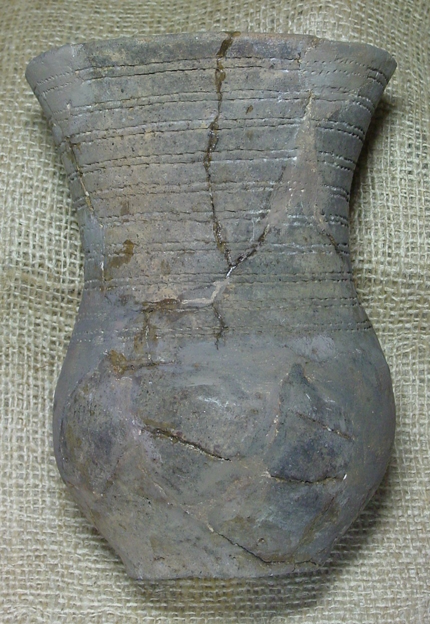 Schnurkeramischer Becher (Prähistorische Sammlung Köthen CC BY-NC-SA)