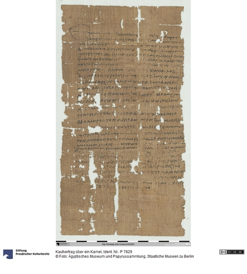 http://www.smb-digital.de/eMuseumPlus?service=ImageAsset&module=collection&objectId=1502368&resolution=superImageResolution#5432112 (Ägyptisches Museum und Papyrussammlung, Staatliche Museen zu Berlin CC BY-NC-SA)
