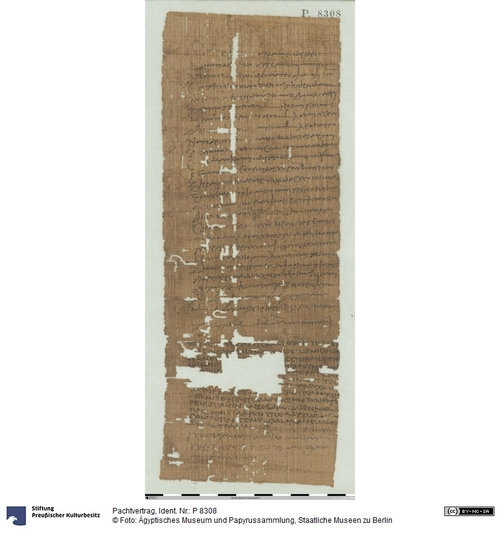 http://www.smb-digital.de/eMuseumPlus?service=ImageAsset&module=collection&objectId=1502674&resolution=superImageResolution#5440280 (Ägyptisches Museum und Papyrussammlung, Staatliche Museen zu Berlin CC BY-NC-SA)