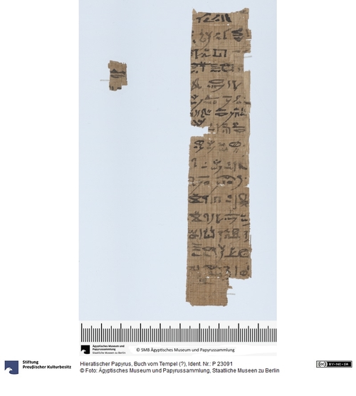 http://www.smb-digital.de/eMuseumPlus?service=ImageAsset&module=collection&objectId=1620890&resolution=superImageResolution#5431460 (Ägyptisches Museum und Papyrussammlung, Staatliche Museen zu Berlin CC BY-NC-SA)