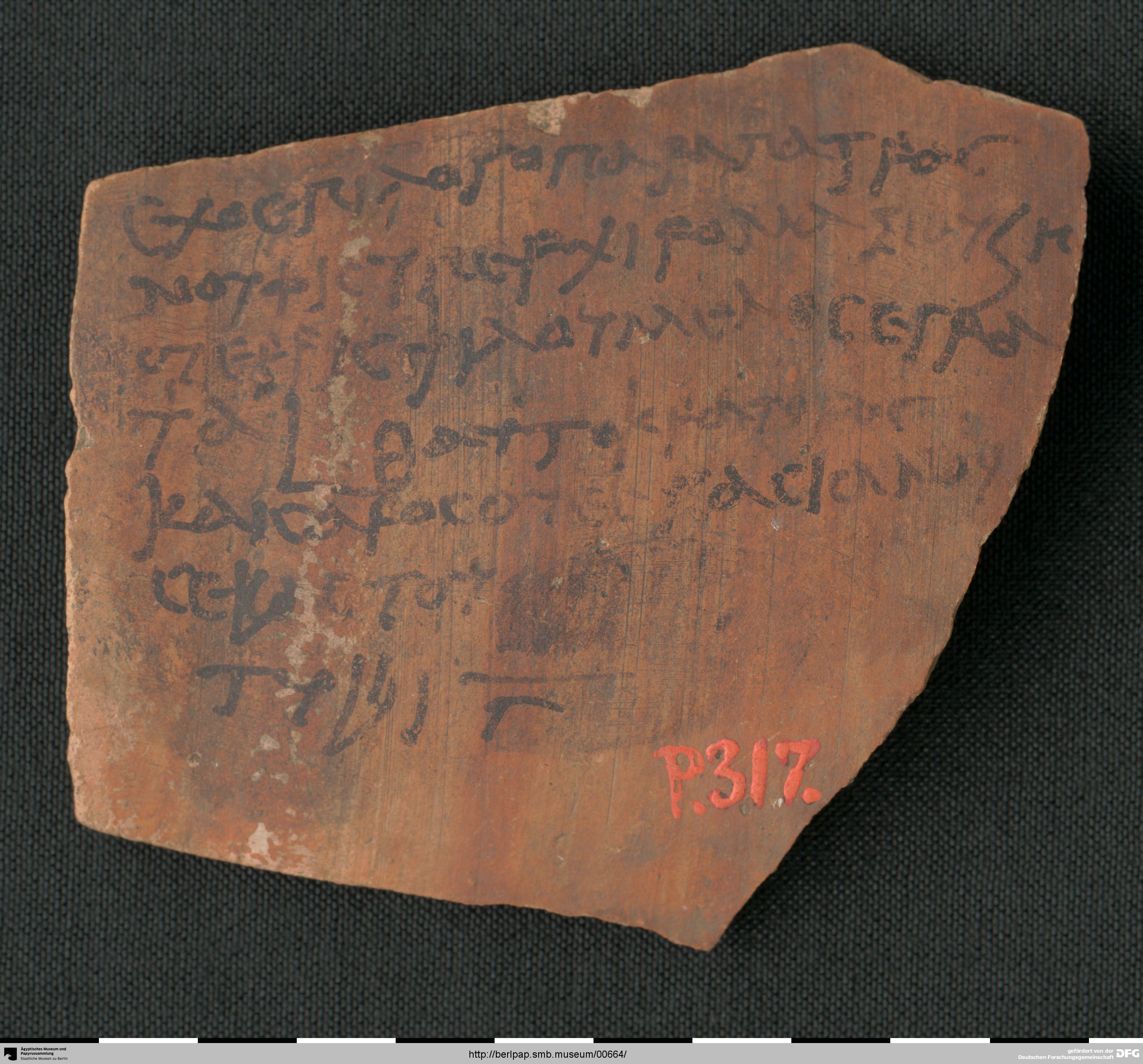 http://berlpap.smb.museum/Original/P_00317_S1_001.jpg (Ägyptisches Museum und Papyrussammlung, Staatliche Museen zu Berlin CC BY-NC-SA)