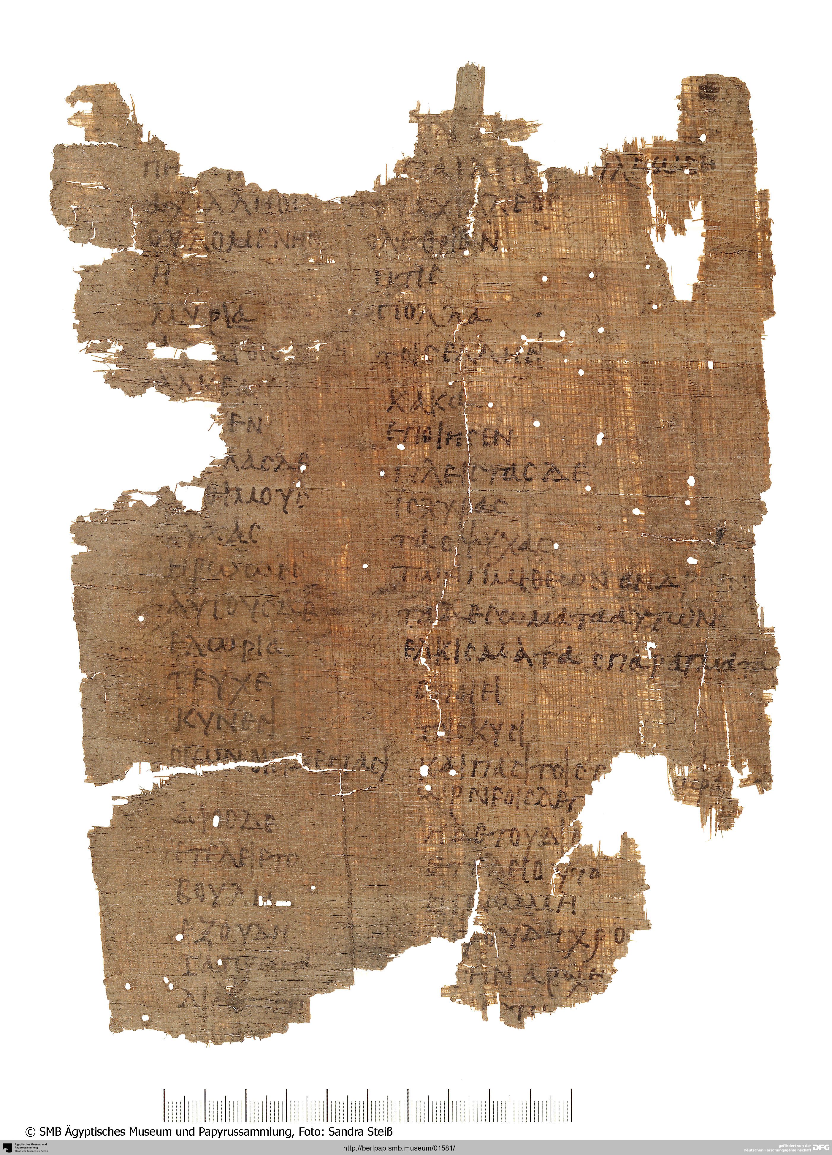 https://berlpap.smb.museum/Original/P_05014_R_001.jpg (Ägyptisches Museum und Papyrussammlung, Staatliche Museen zu Berlin CC BY-NC-SA)