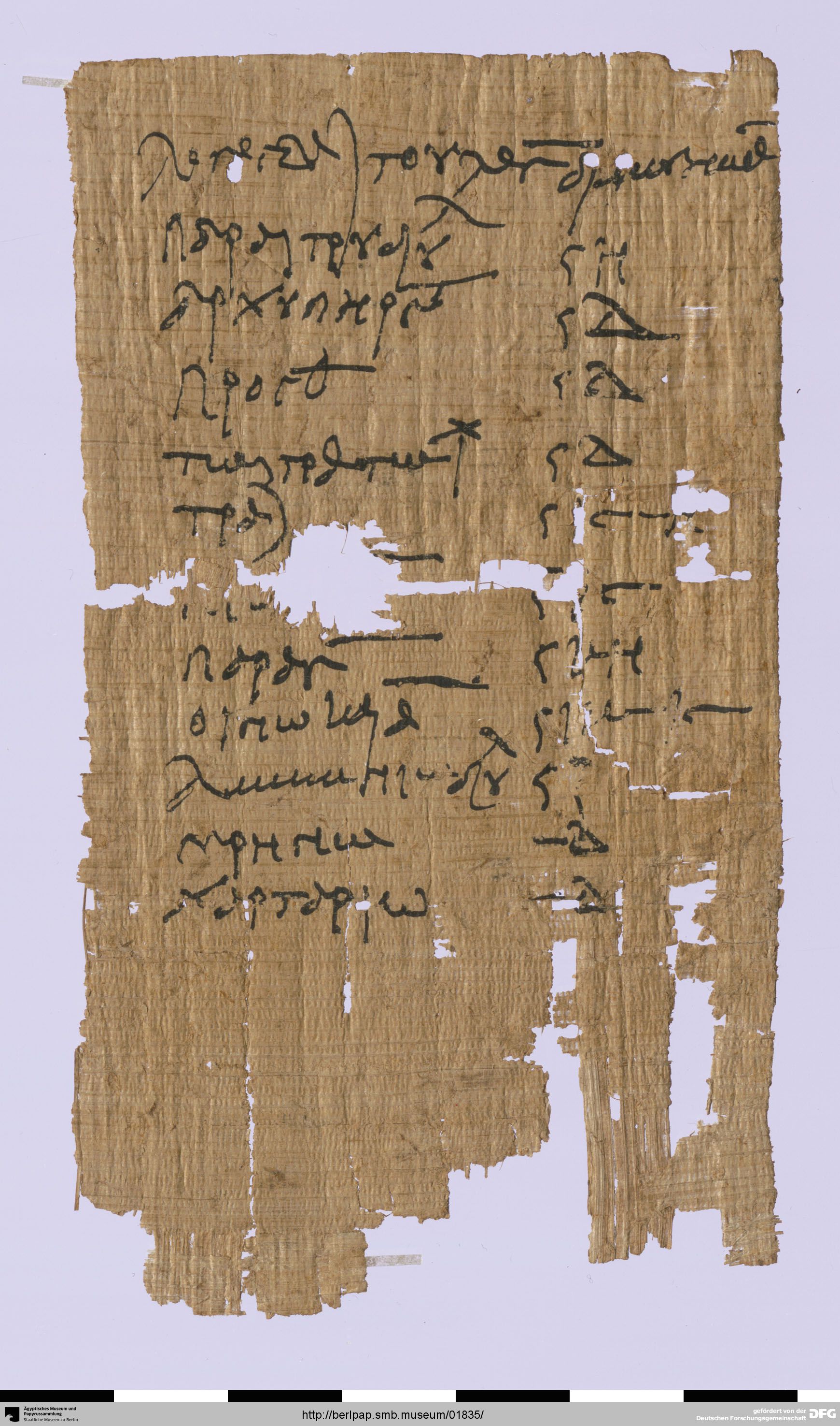 https://berlpap.smb.museum/Original/P_06957_R_001.jpg (Ägyptisches Museum und Papyrussammlung, Staatliche Museen zu Berlin CC BY-NC-SA)