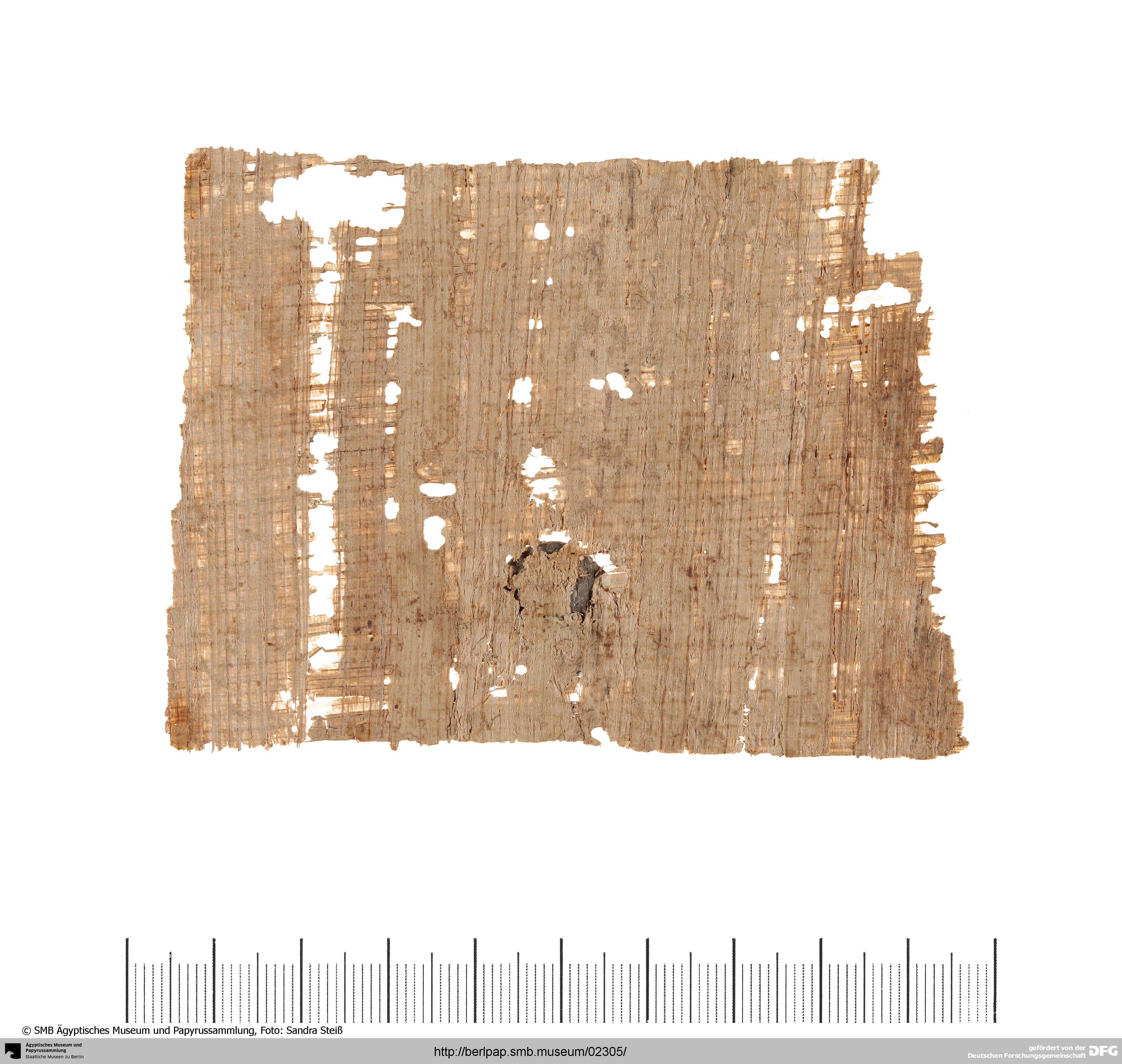 https://berlpap.smb.museum/Original/P_07882_V_001.jpg (Ägyptisches Museum und Papyrussammlung, Staatliche Museen zu Berlin CC BY-NC-SA)