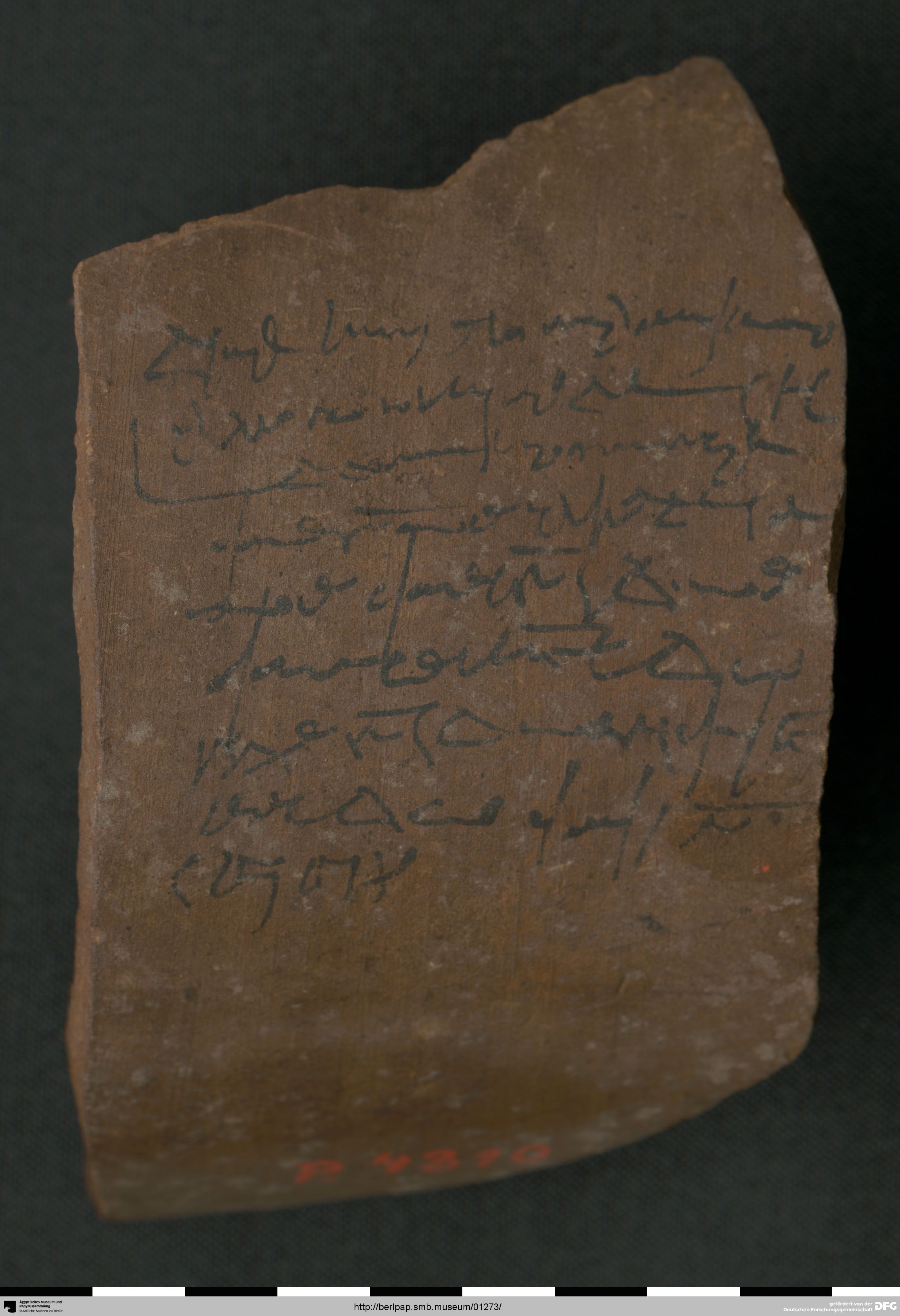 https://berlpap.smb.museum/Original/P_04310_S1_001.jpg (Ägyptisches Museum und Papyrussammlung, Staatliche Museen zu Berlin CC BY-NC-SA)