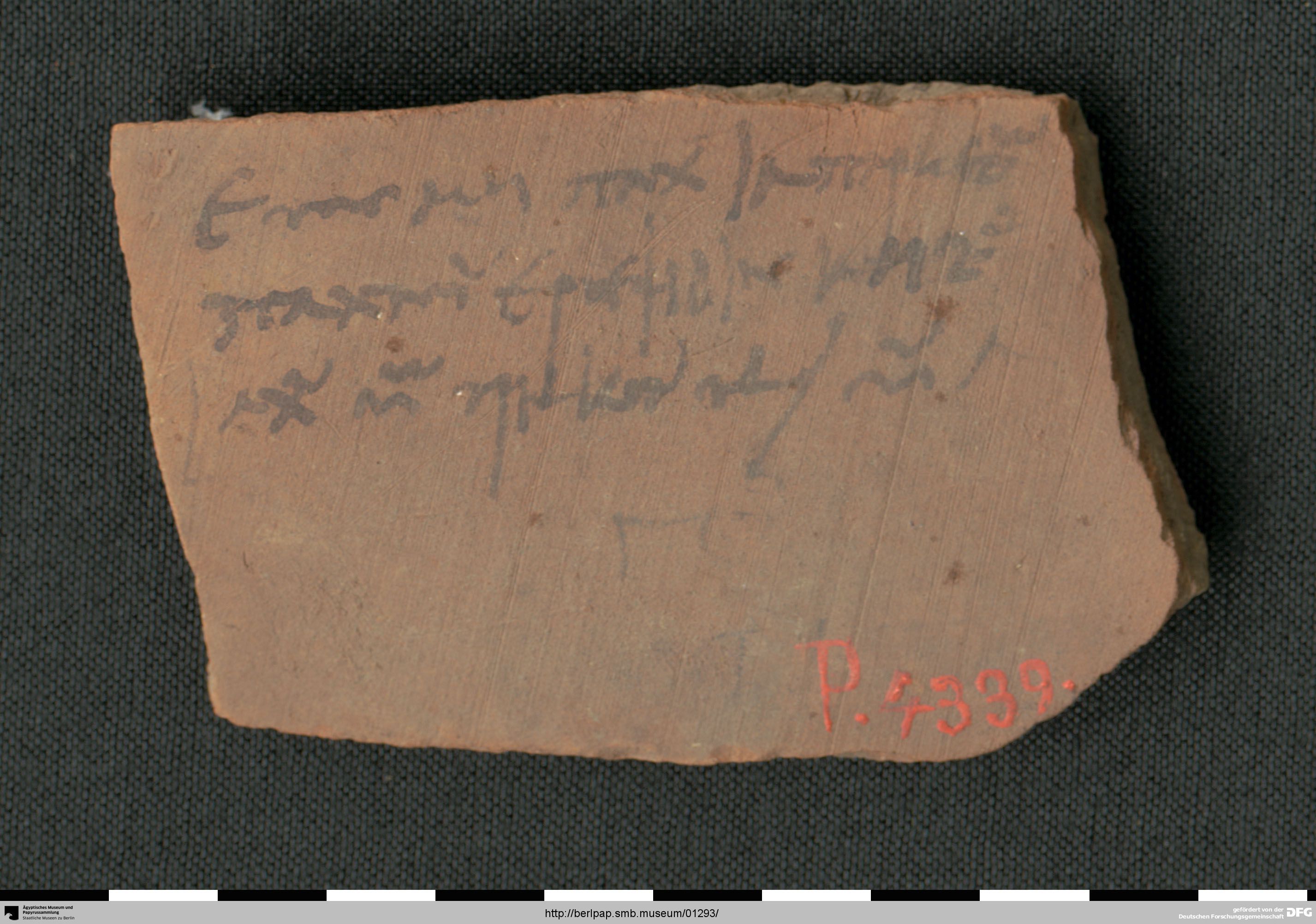https://berlpap.smb.museum/Original/P_04339_S1_001.jpg (Ägyptisches Museum und Papyrussammlung, Staatliche Museen zu Berlin CC BY-NC-SA)