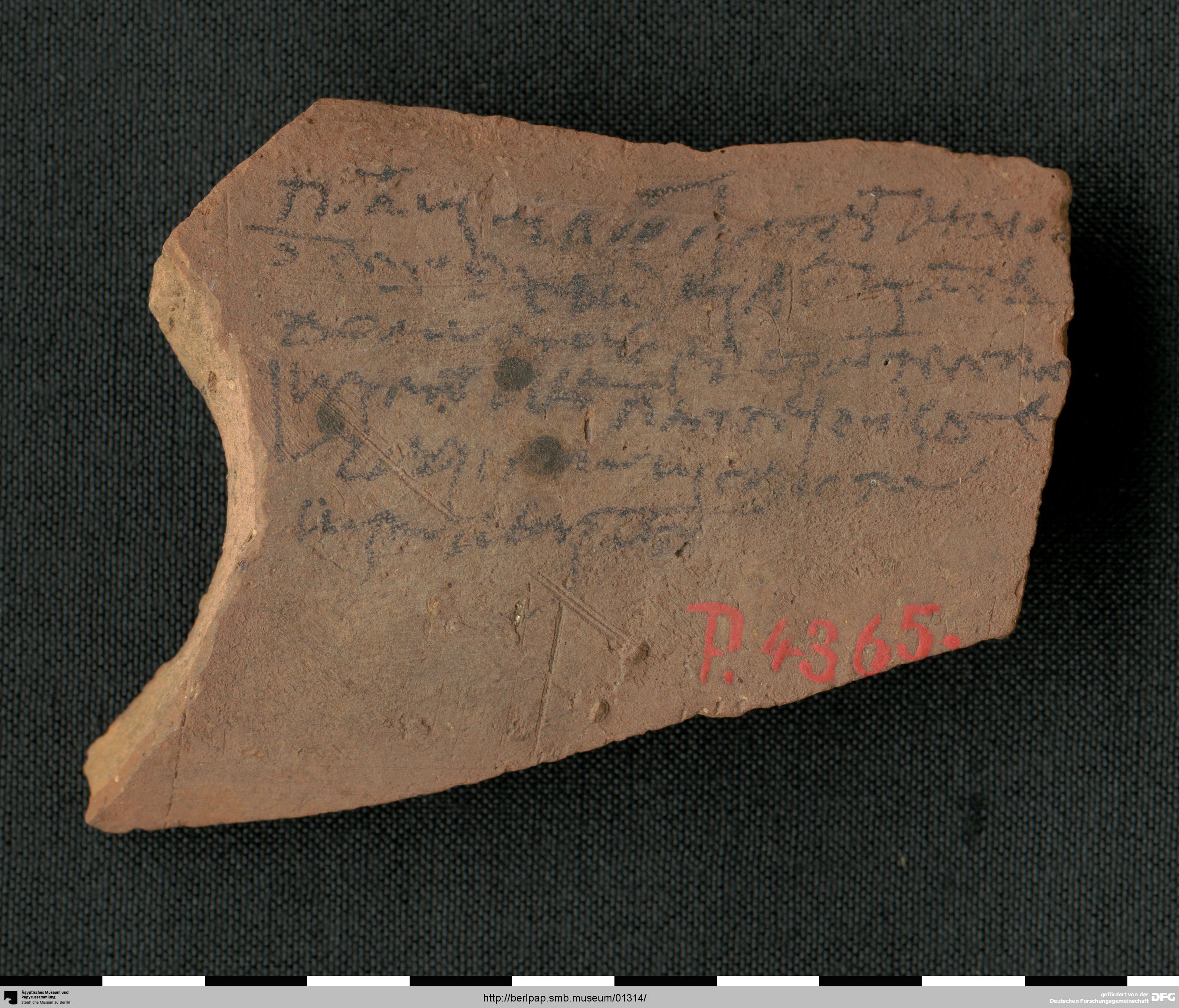 https://berlpap.smb.museum/Original/P_04365_S1_001.jpg (Ägyptisches Museum und Papyrussammlung, Staatliche Museen zu Berlin CC BY-NC-SA)