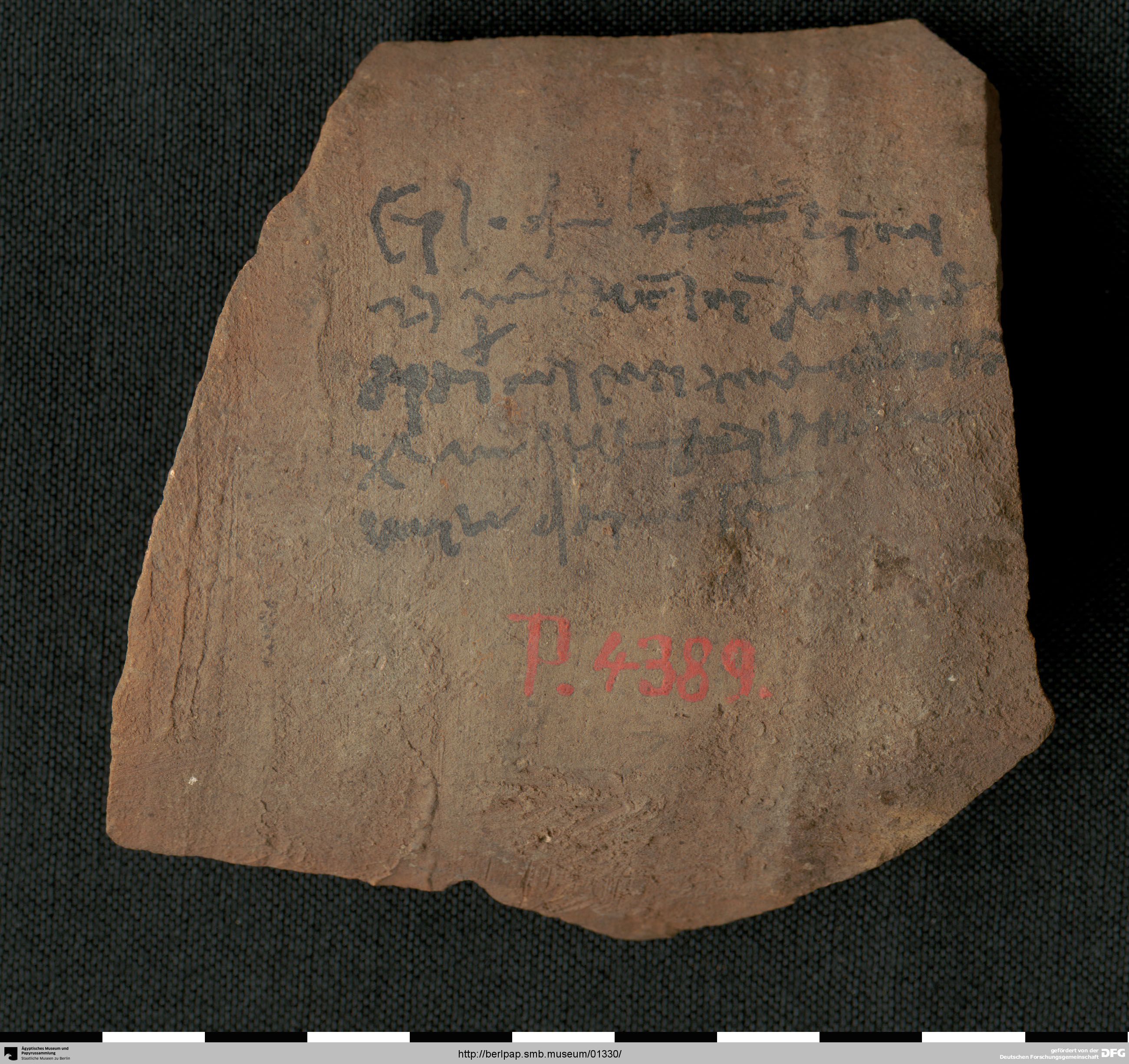 https://berlpap.smb.museum/Original/P_04389_S1_001.jpg (Ägyptisches Museum und Papyrussammlung, Staatliche Museen zu Berlin CC BY-NC-SA)