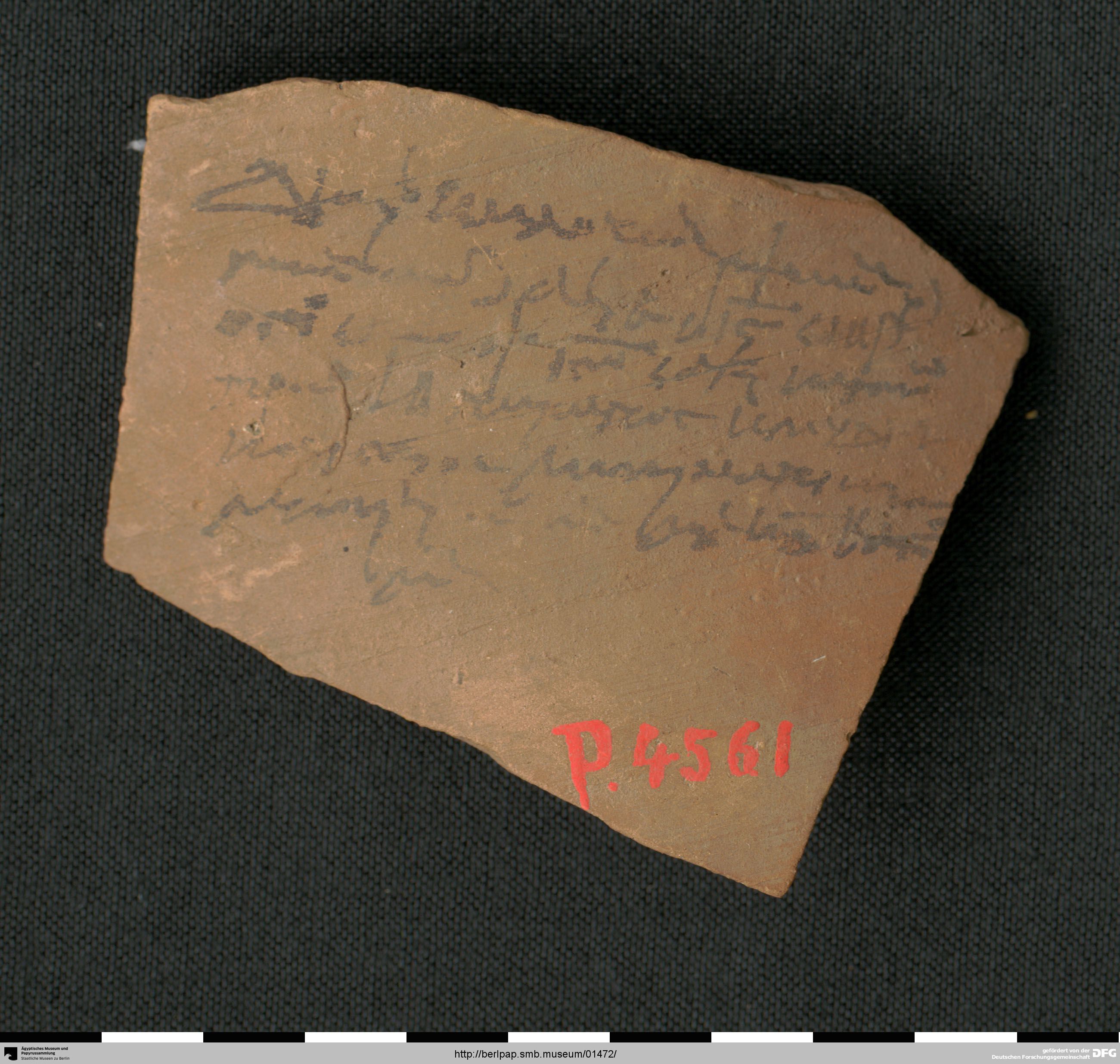 https://berlpap.smb.museum/Original/P_04561_S1_001.jpg (Ägyptisches Museum und Papyrussammlung, Staatliche Museen zu Berlin CC BY-NC-SA)