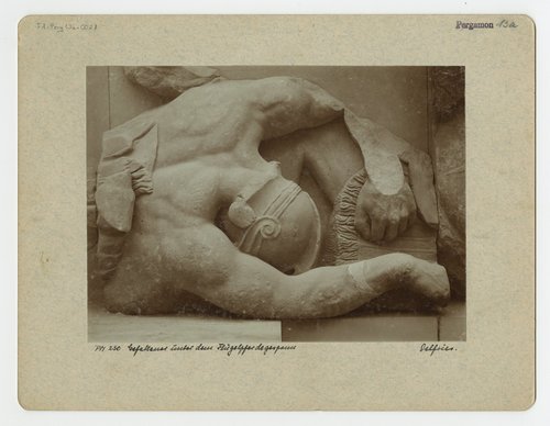 https://id.smb.museum/digital-asset/5448049 (Antikensammlung, Staatliche Museen zu Berlin CC BY-NC-SA)
