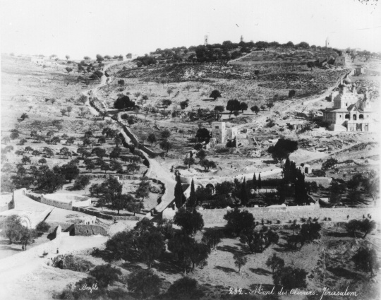 Mont de Oliviers. Jérusalem (Friedrich-Schiller-Universität: Orientalische Sammlungen und Papyri CC BY-NC-SA)
