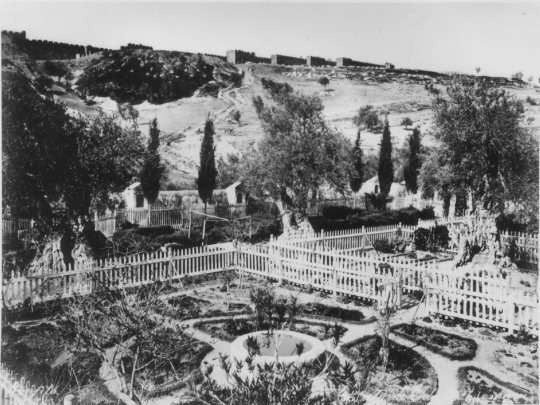 Jardin de Gethseman (Friedrich-Schiller-Universität: Orientalische Sammlungen und Papyri CC BY-NC-SA)