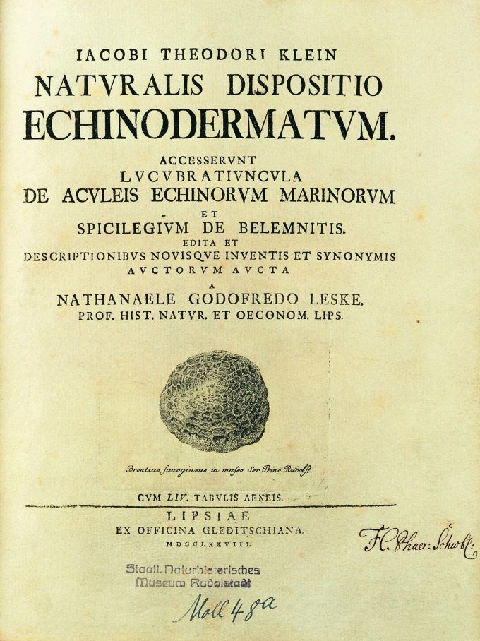 Jakob Theodor Klein: Naturalis Dispositio; Echinodermatum, Leipzig: Officina Gleditschiana 1778 (2. Auflage) (Thüringer Landesmuseum Heidecksburg CC BY-NC-SA)