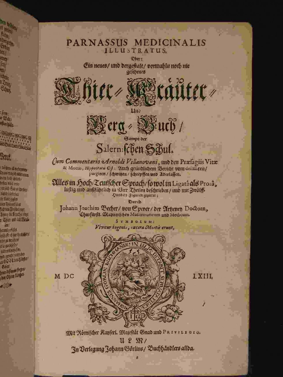 Ein Tier- Kräuter- und Bergbuch von 1663 (Naturhistorisches Museum Schloss Bertholdsburg Schleusingen CC BY-NC-SA)