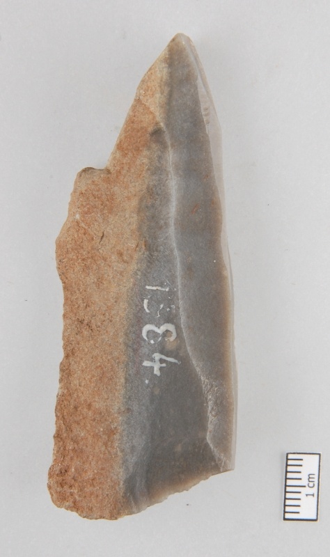 Mehrschlagstichel (Friedrich-Schiller-Universität: Archäologische Sammlungen CC BY-NC-SA)