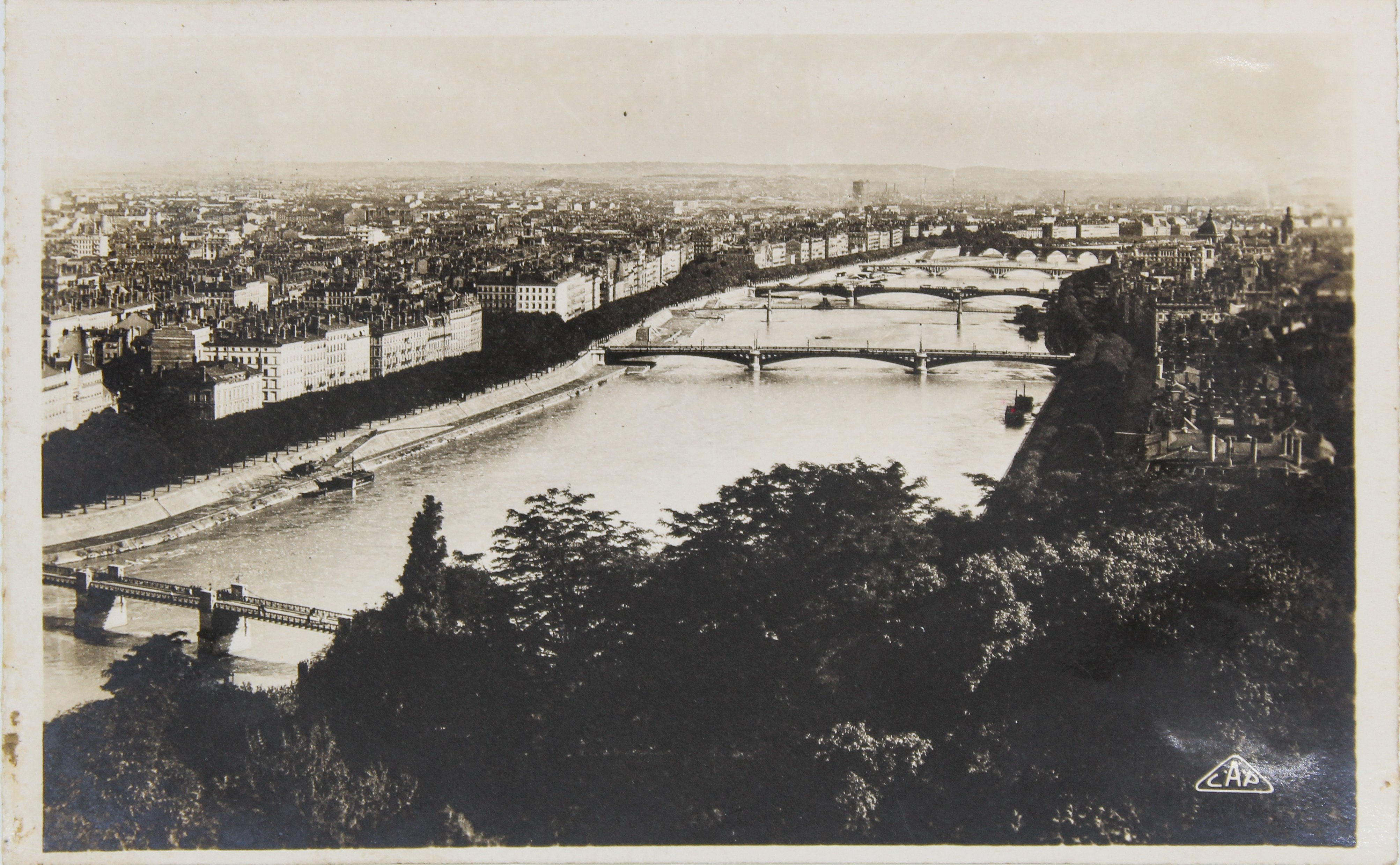 Поштова листівка із зображенням Ліона (Національний історико-культурний заповідник «Чигирин» CC BY-NC-SA)