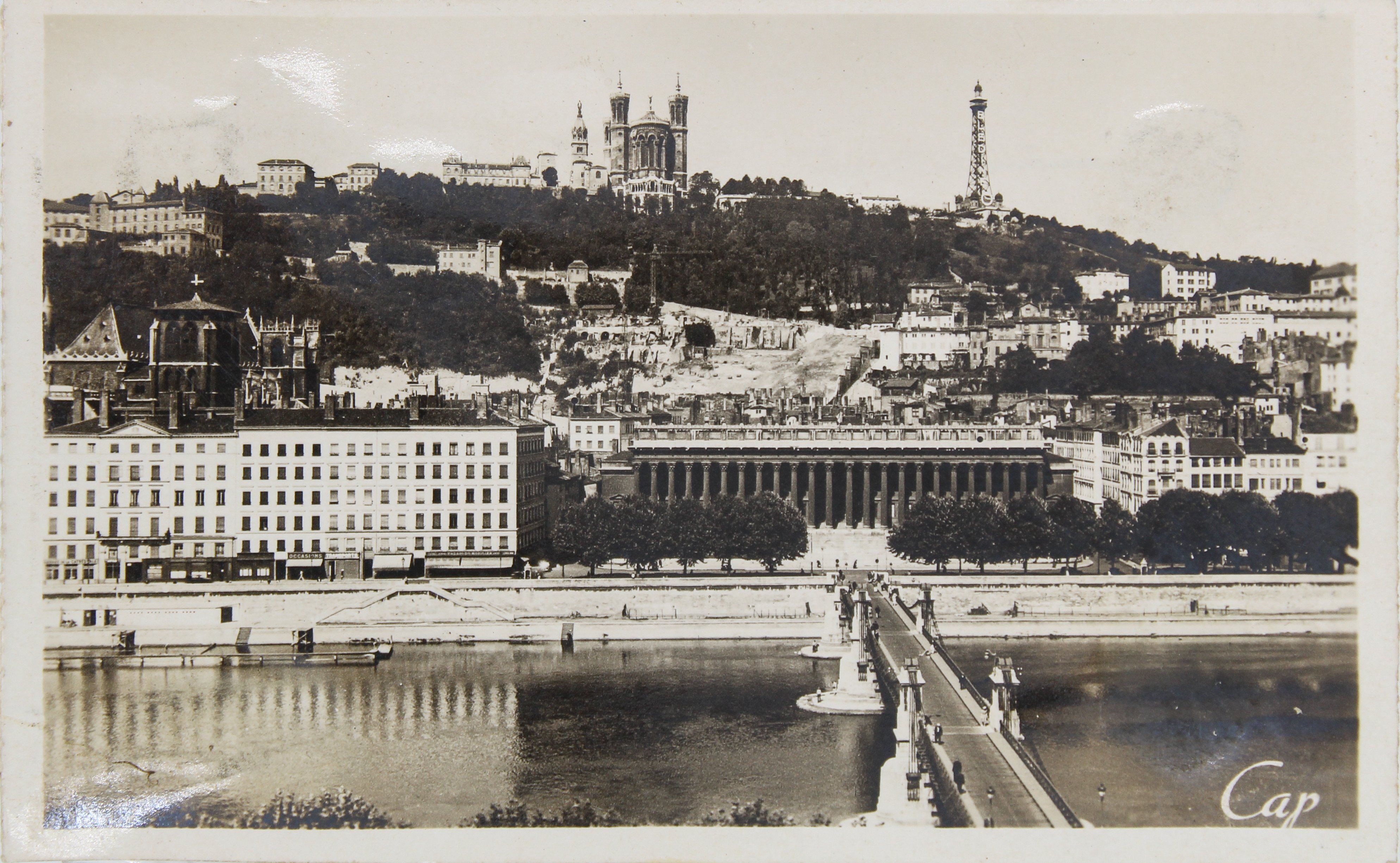 Поштова листівка із зображенням Ліона (Національний історико-культурний заповідник «Чигирин» CC BY-NC-SA)
