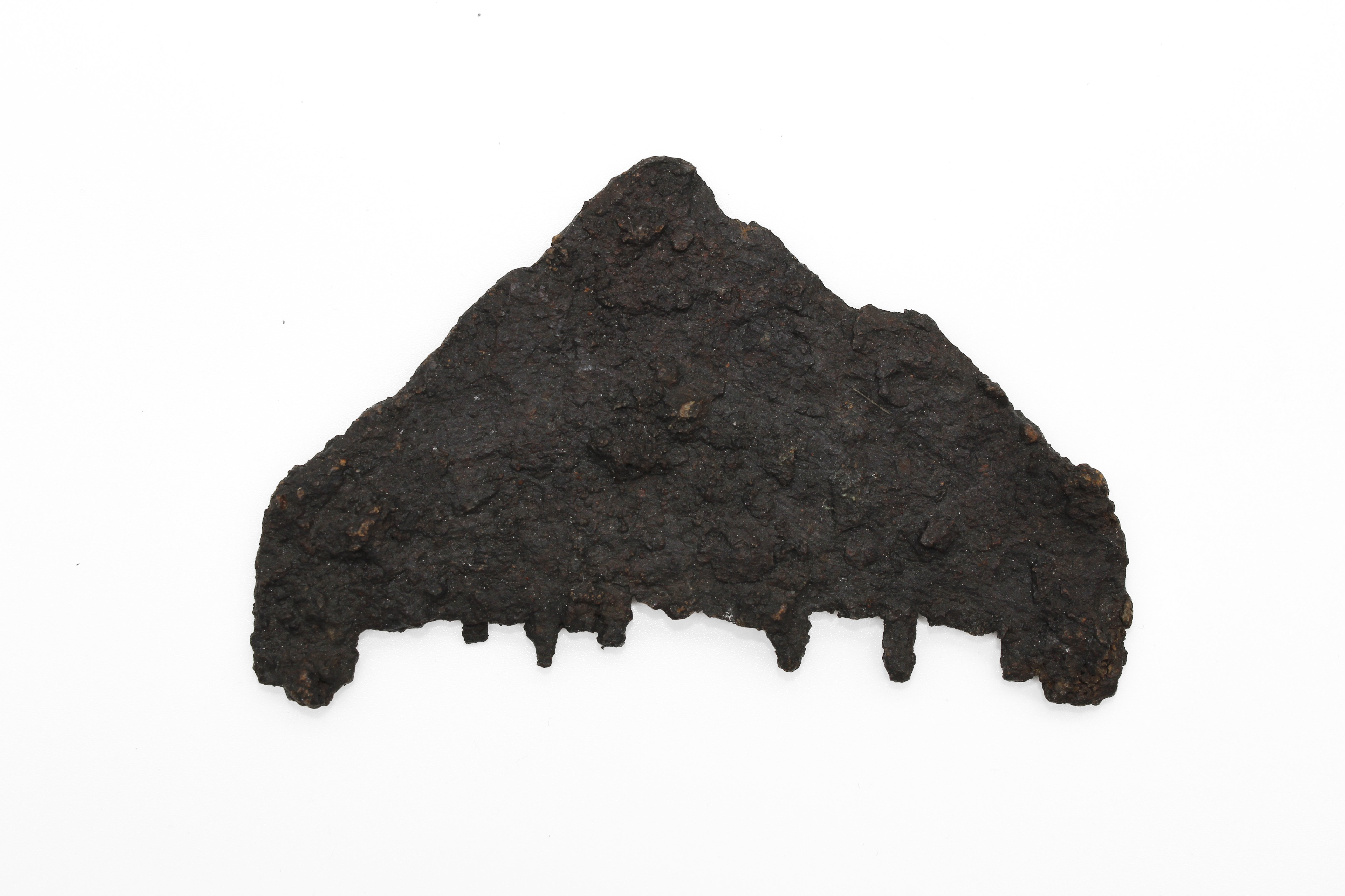 Фрагмент гребеня залізного (Національний історико-культурний заповідник «Чигирин» CC BY-NC-SA)