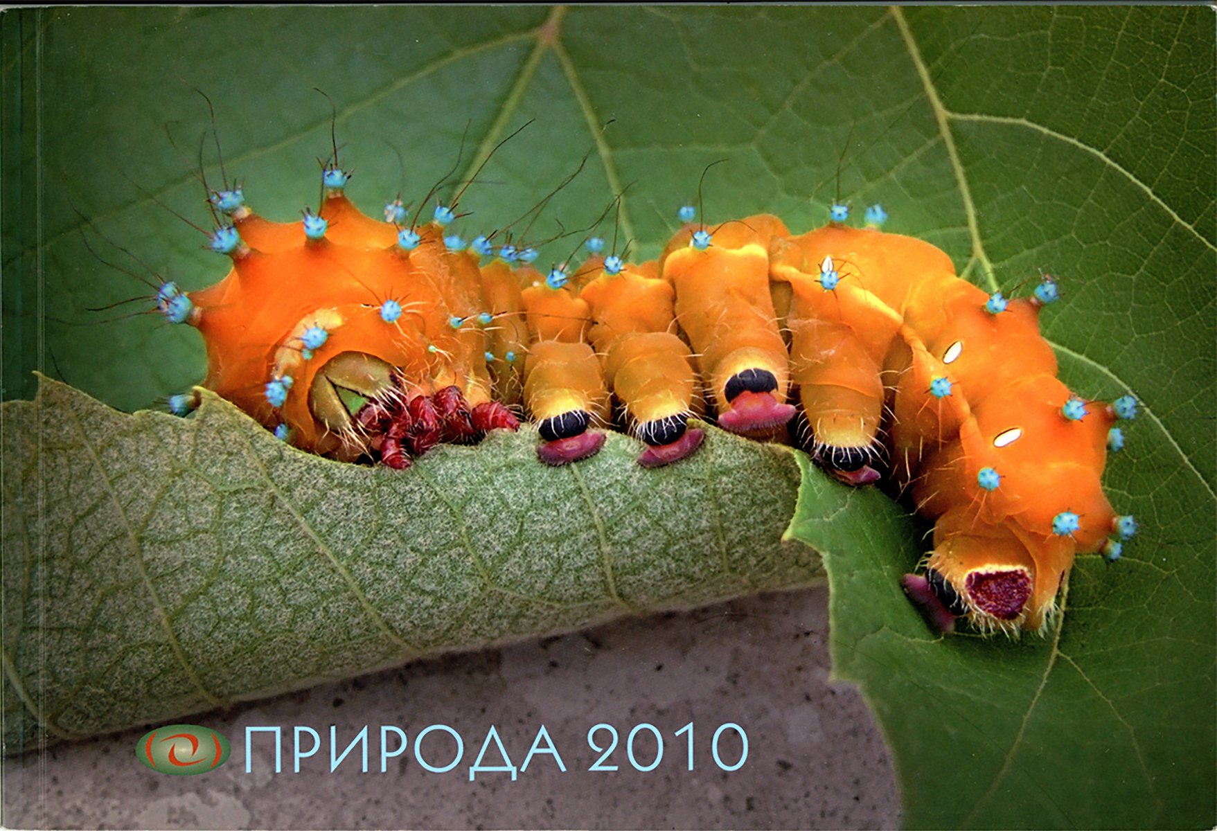 Природа 2010 (Музей фотографії Київського національного університету технології та дизайну CC BY-NC-SA)