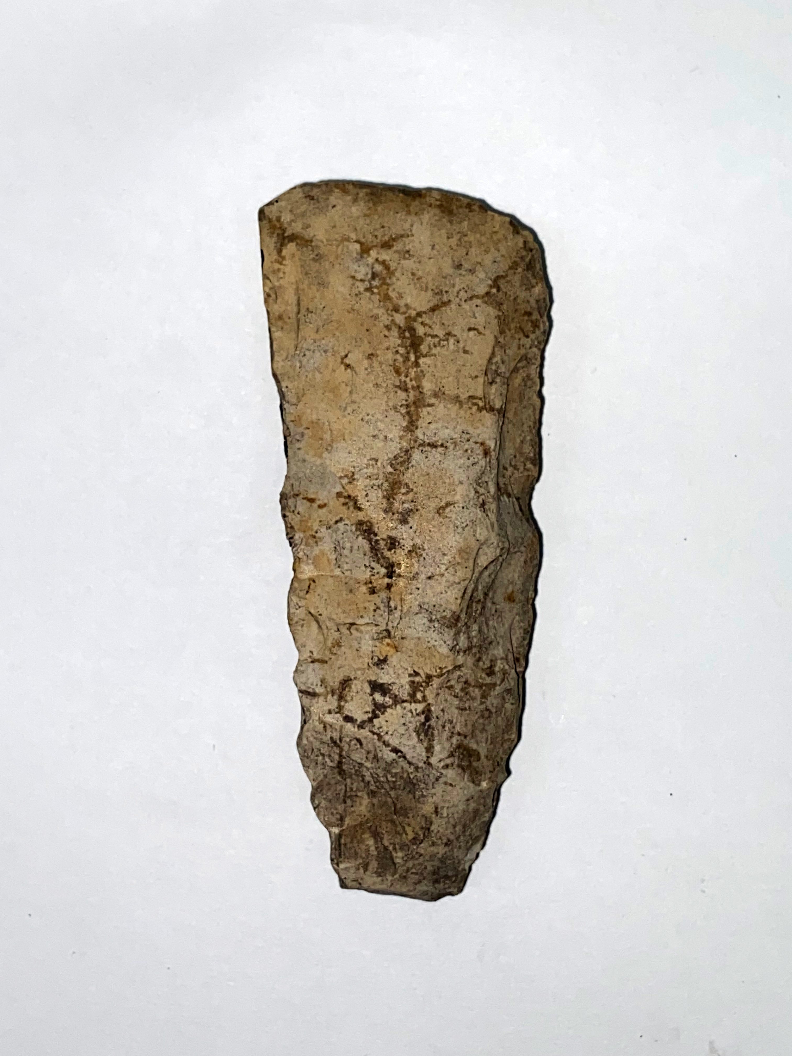 Кам'яна сокира ІІІ- ІІ тис. до н.е. (Рівненський обласний краєзнавчий музей CC BY-NC-SA)