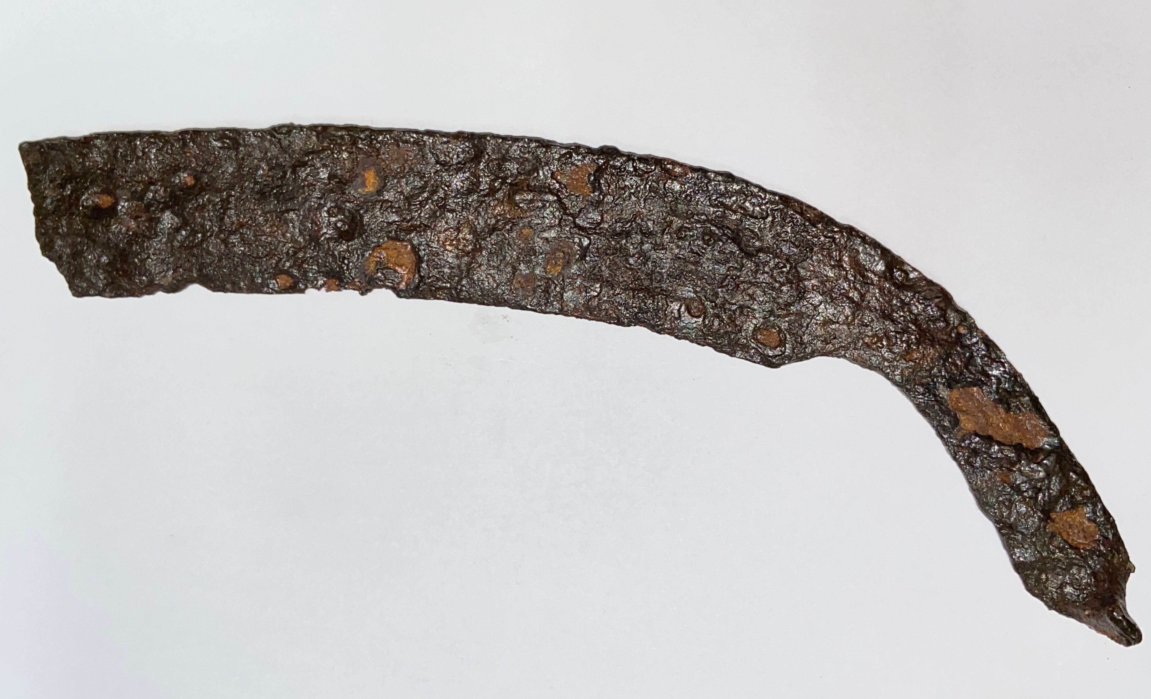 Коса-горбуша XI-XIII ст. (Рівненський обласний краєзнавчий музей CC BY-NC-SA)