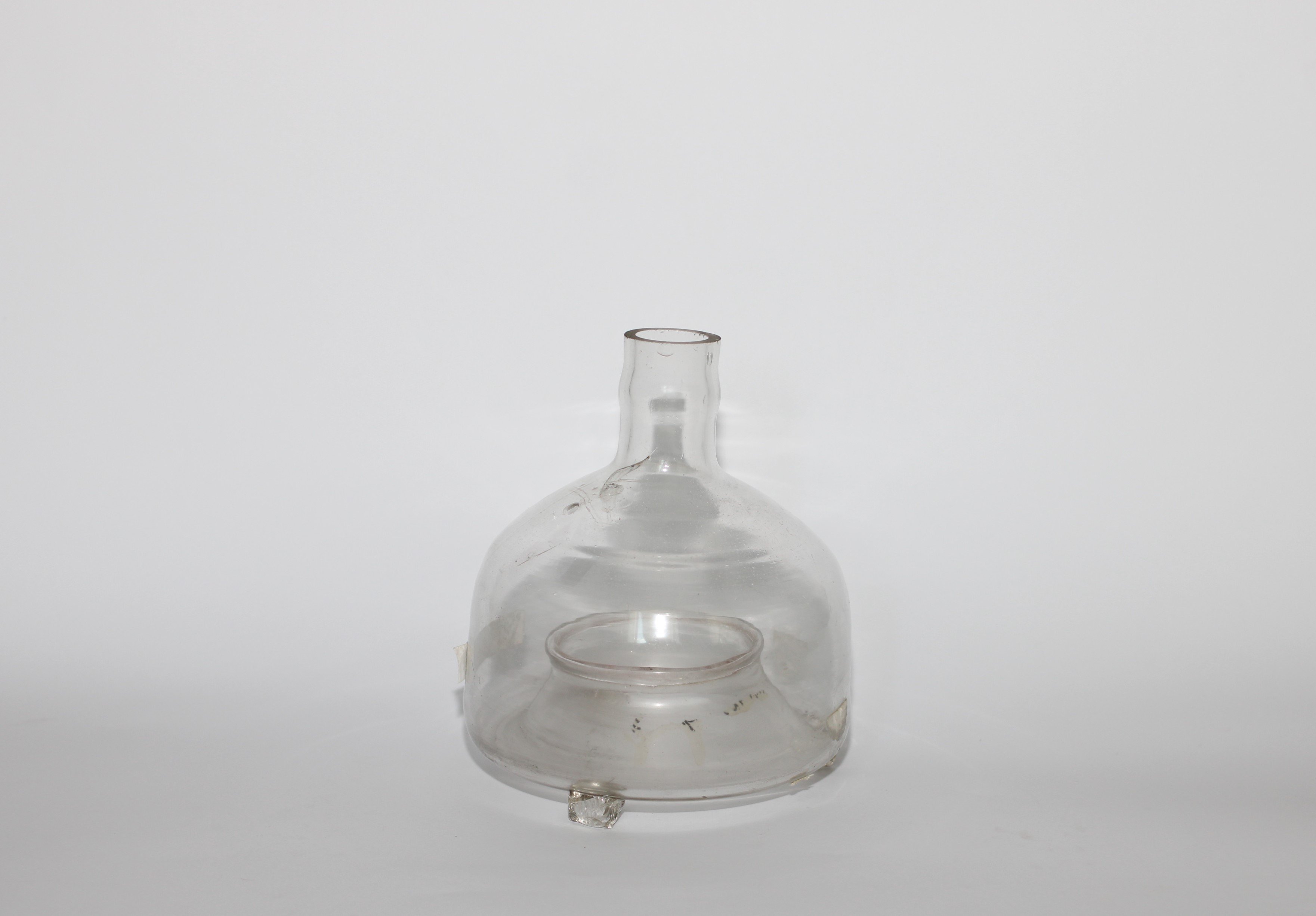 Мухоловка скляна (Кременецький краєзнавчий музей CC BY-NC-SA)