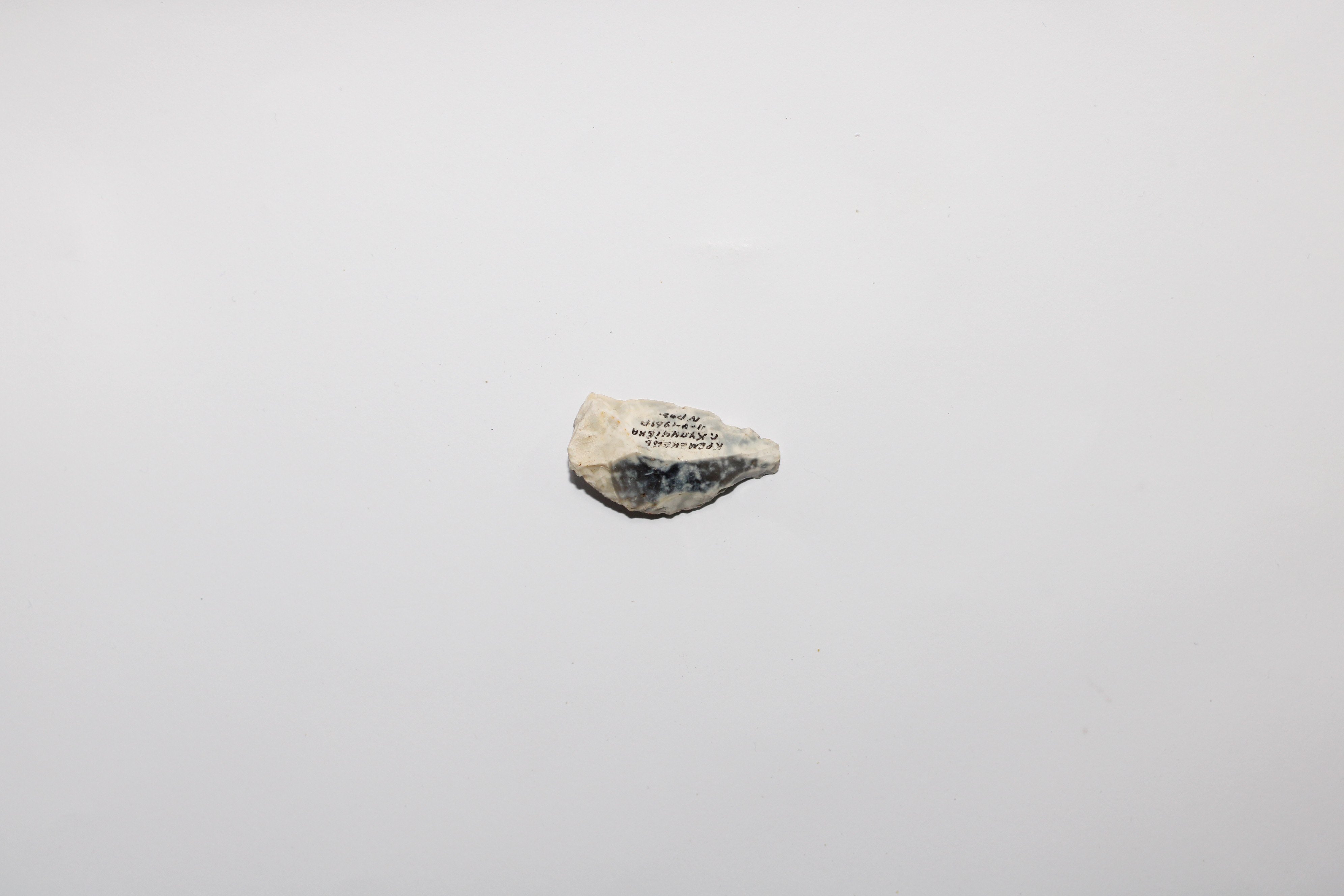 Проколка кам'яна (Кременецький краєзнавчий музей CC BY-NC-SA)