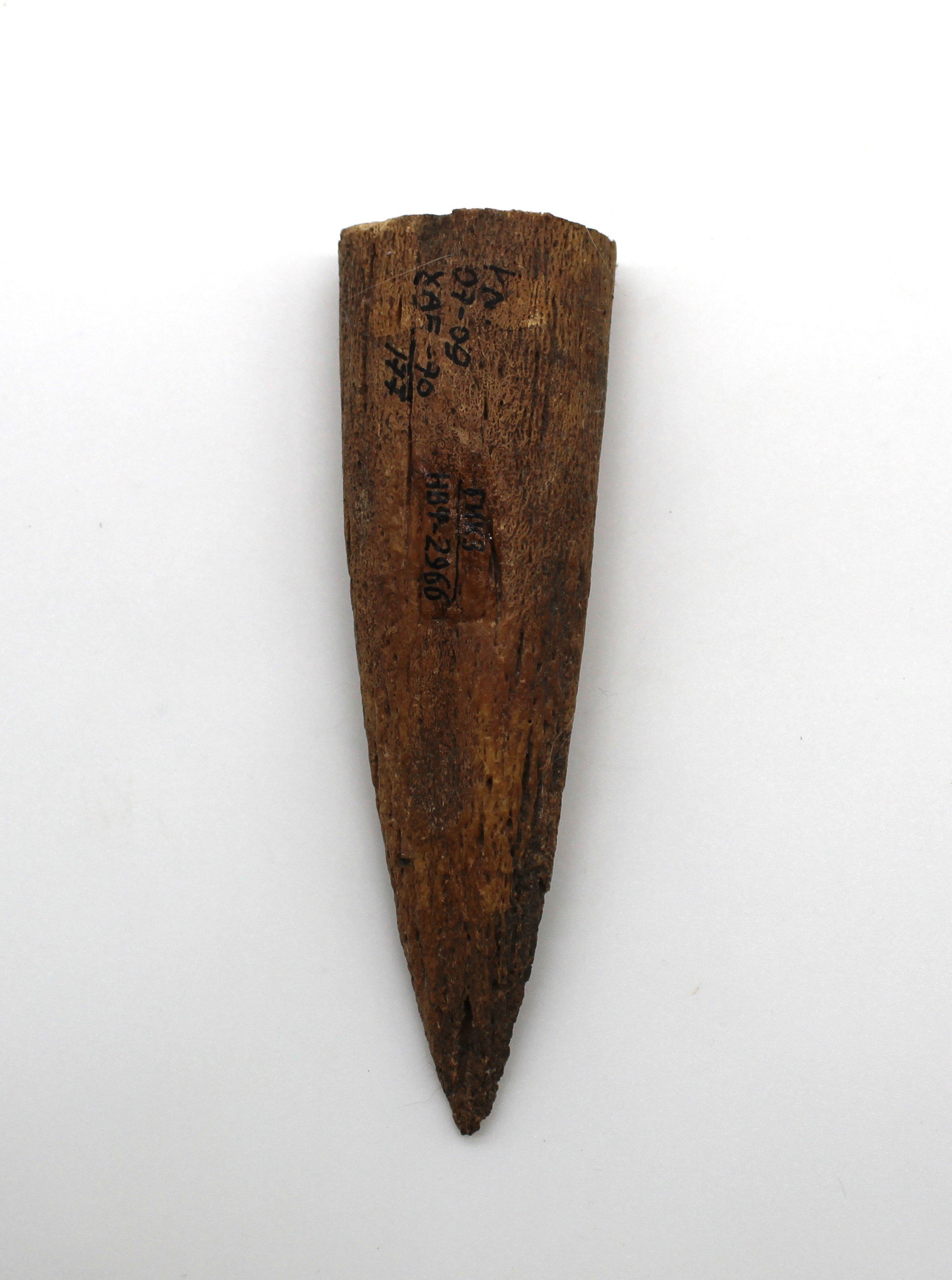 Ріг оброблений, ХІІ ст. -перша половина XIV ст. (Національний заповідник "Хортиця" CC BY-NC-SA)