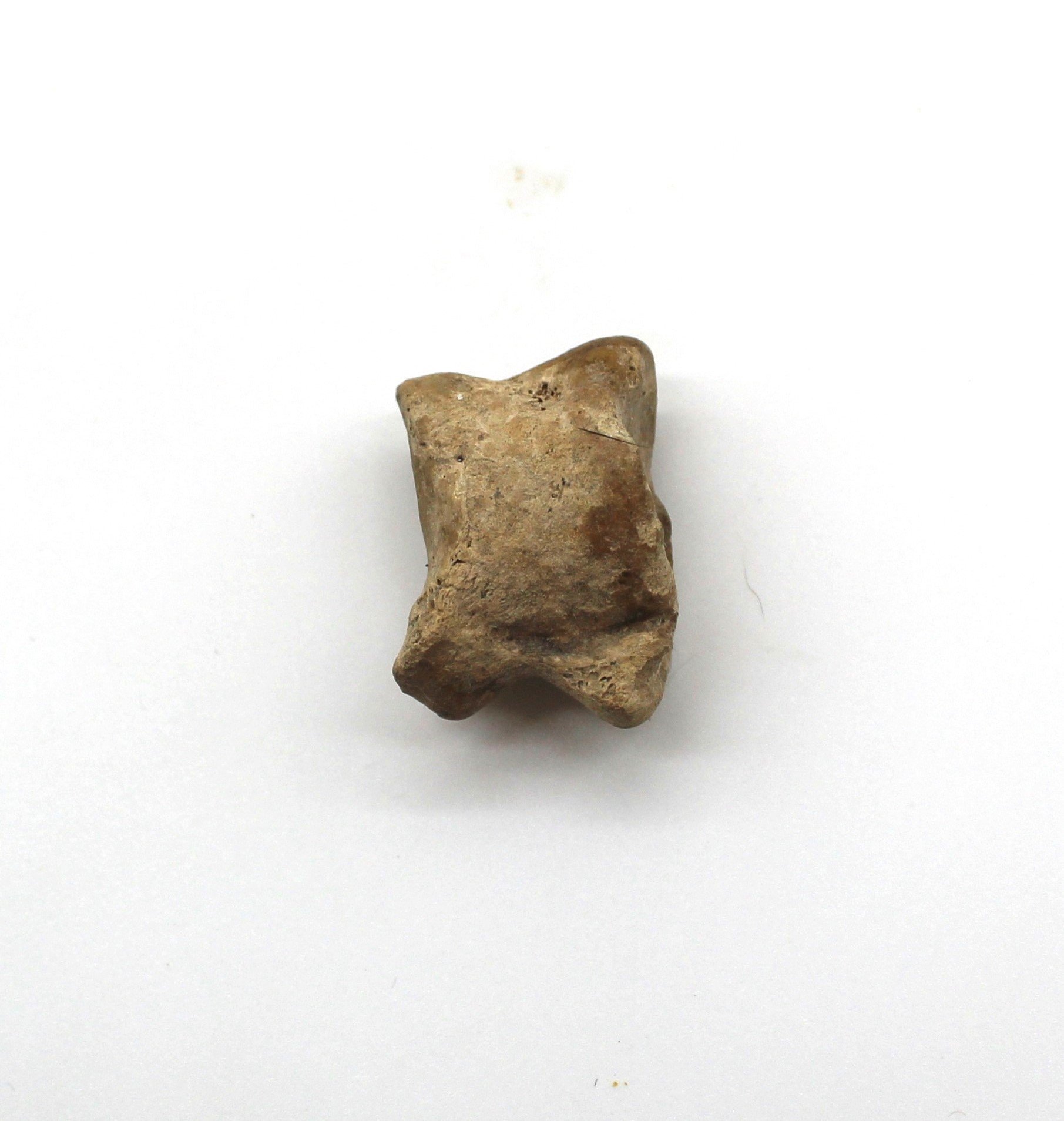 Кістка гральна, ХІІ ст. -перша половина XIV ст. (Національний заповідник "Хортиця" CC BY-NC-SA)