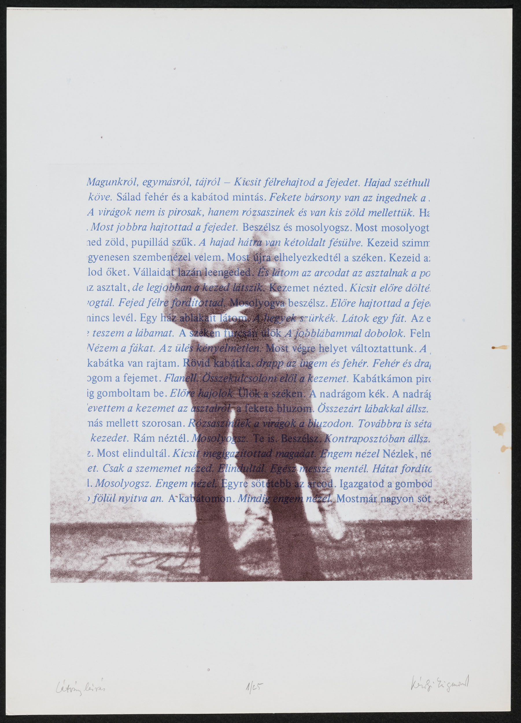 Károlyi Zsigmond: Látványleírás (Müller Miklós és Jan S. Keithly gyűjteménye - New York, USA CC BY-NC-SA)