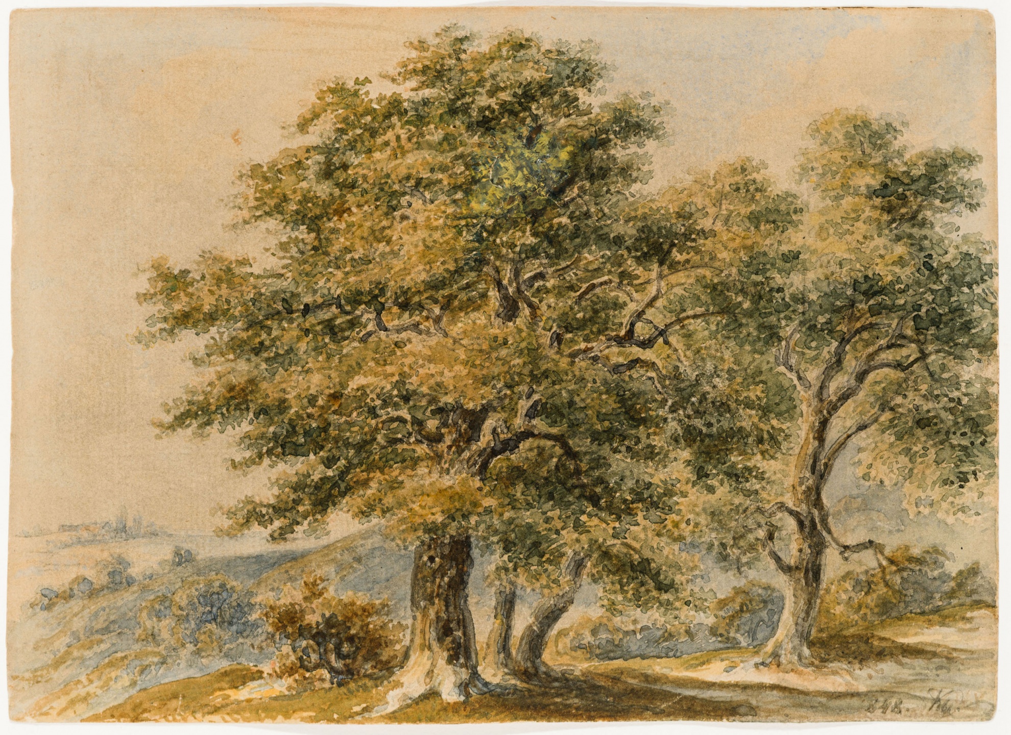 untitled (view of oak trees), (known as “Old Oak Trees”)

(The Salgo Trust for Education CC BY-NC-SA)