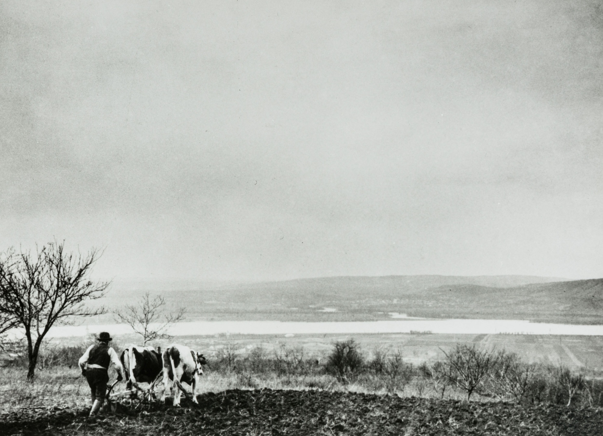 Esztergom (plowing scene) (The Salgo Trust for Education CC BY-NC-SA)