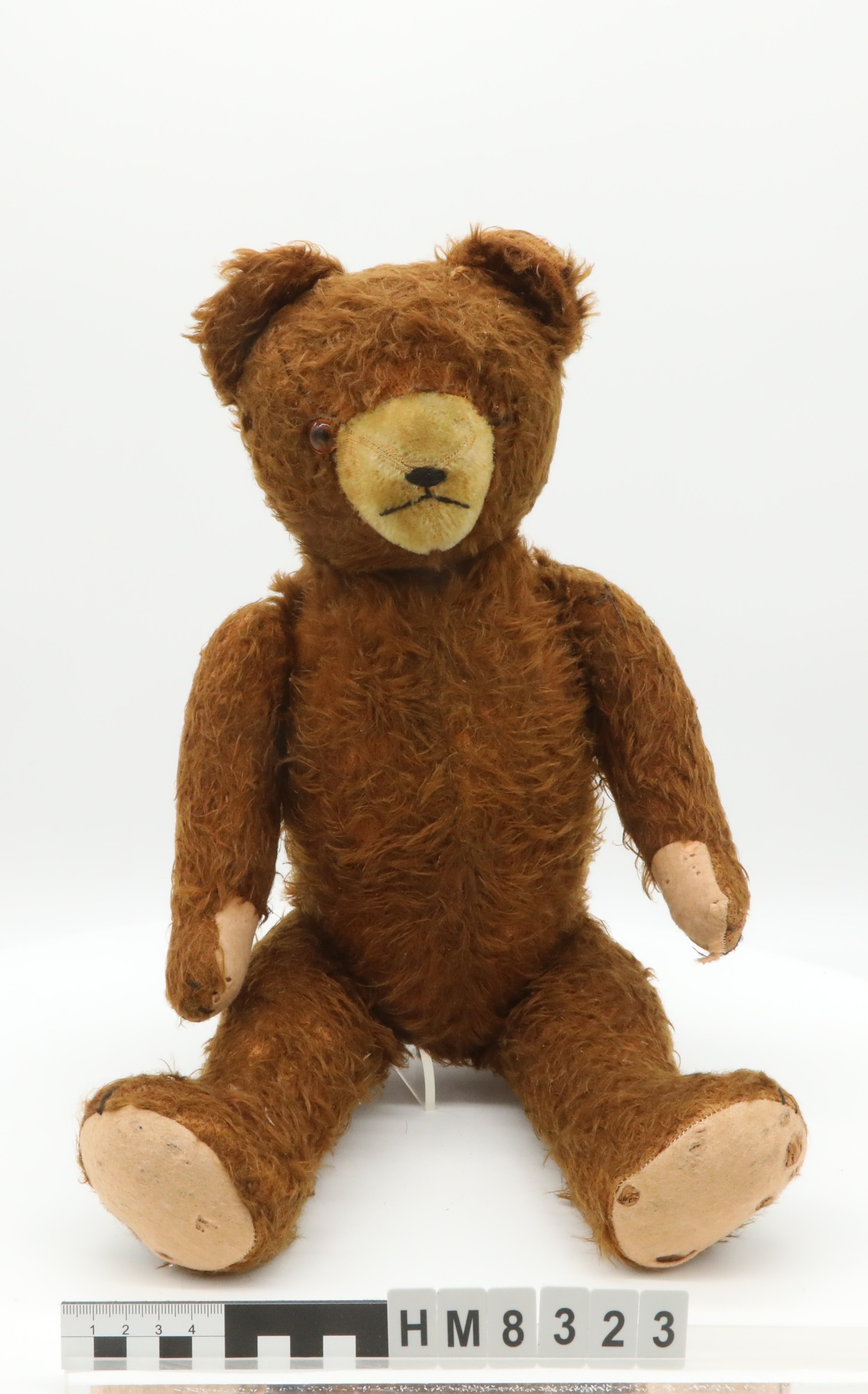 Teddybär mit Stimme (kult Westmünsterland CC BY-NC-SA)