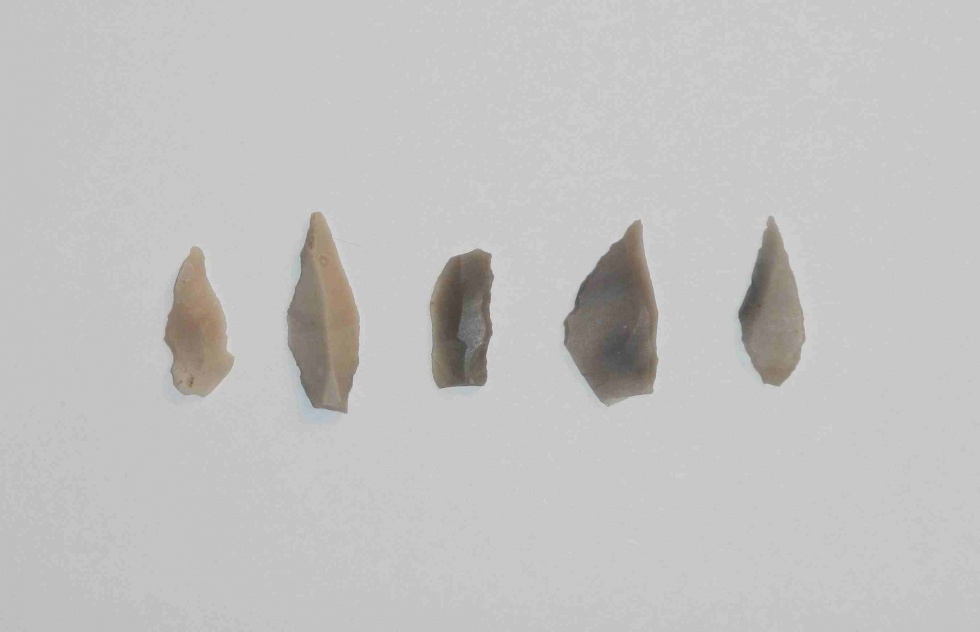 Auswahl von Feuersteingeräten des Mesolithikums (Archäologie Nockemann CC BY-NC-SA)