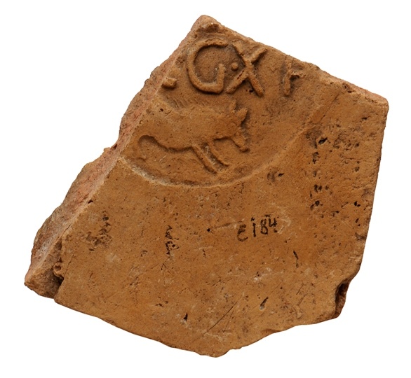 Fragment eines Dachziegels der 10. Legion aus Judäa mit Keiler und Legende (Archäologisches Museum der WWU Münster CC BY-NC-SA)