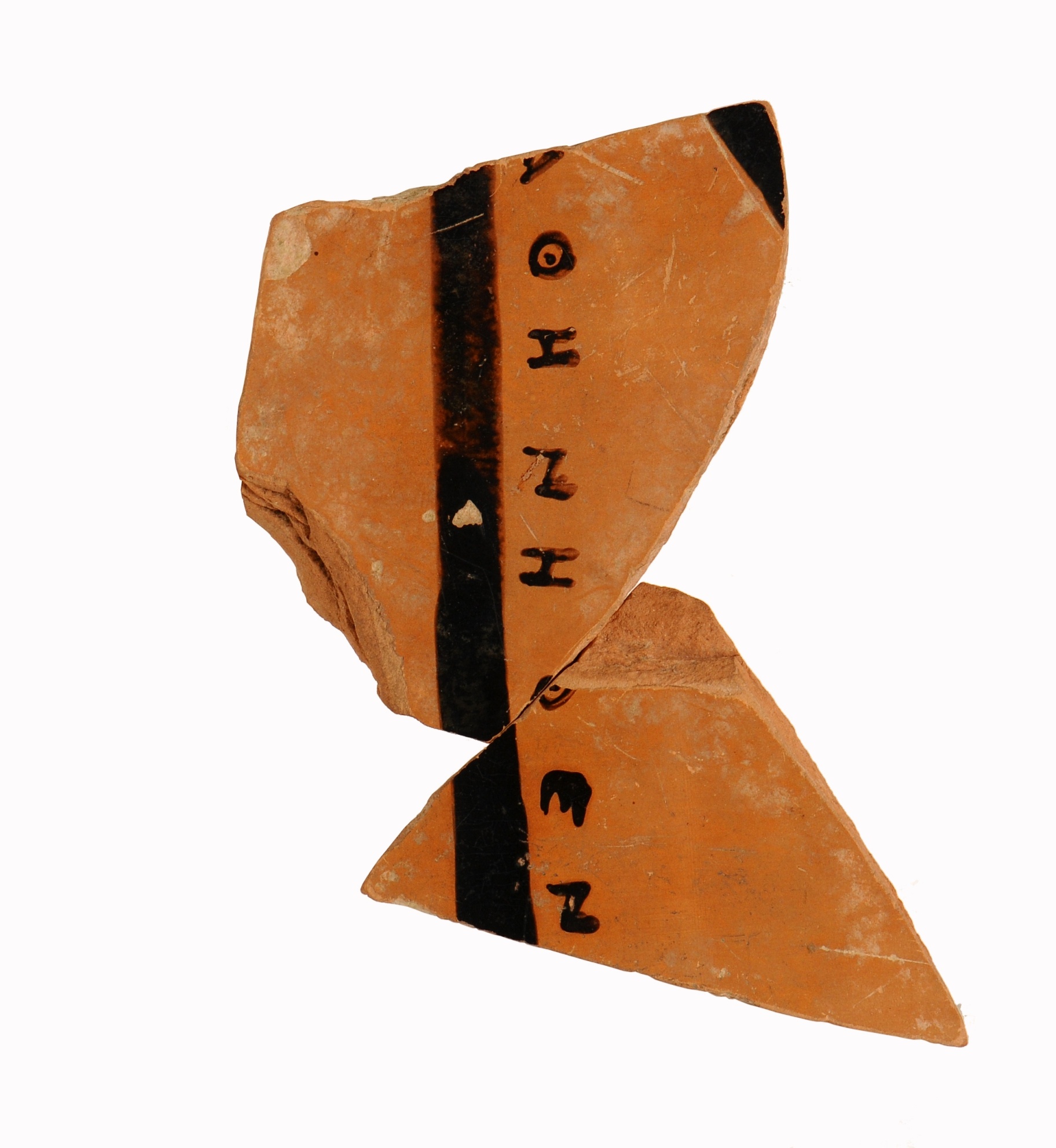 Scherben einer Panathenäischen Preisamphore (Archäologisches Museum der WWU Münster CC BY-NC-SA)