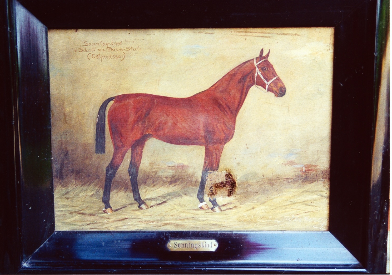 Gemälde der Stute „Sonntagskind“ (Westfälisches Pferdemuseum CC BY-NC-SA)