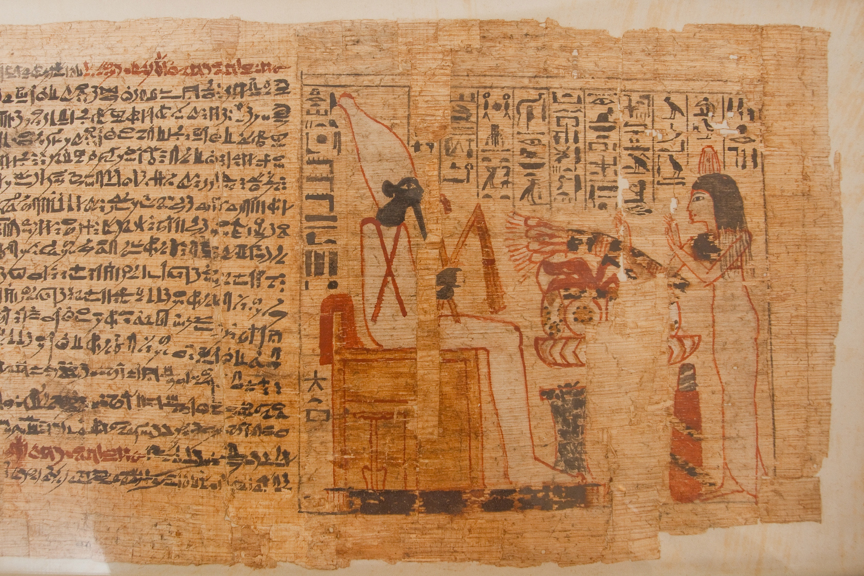 Totenbuchpapyrus der Nes Mut (Gustav-Lübcke-Museum Hamm CC BY-NC-SA)