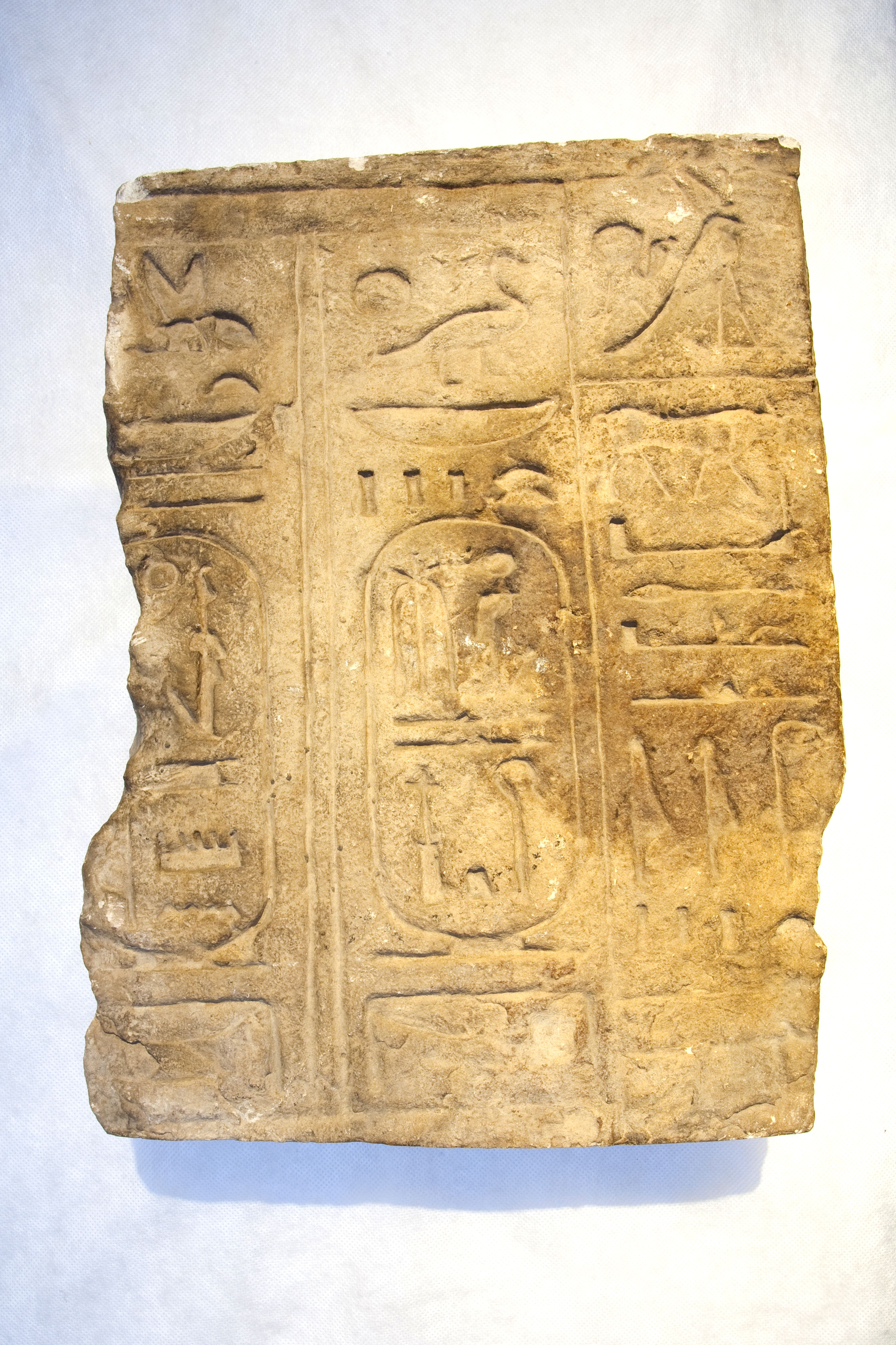 Reliefbruchstück mit Namen Ramses III (Gustav-Lübcke-Museum Hamm CC BY-NC-SA)