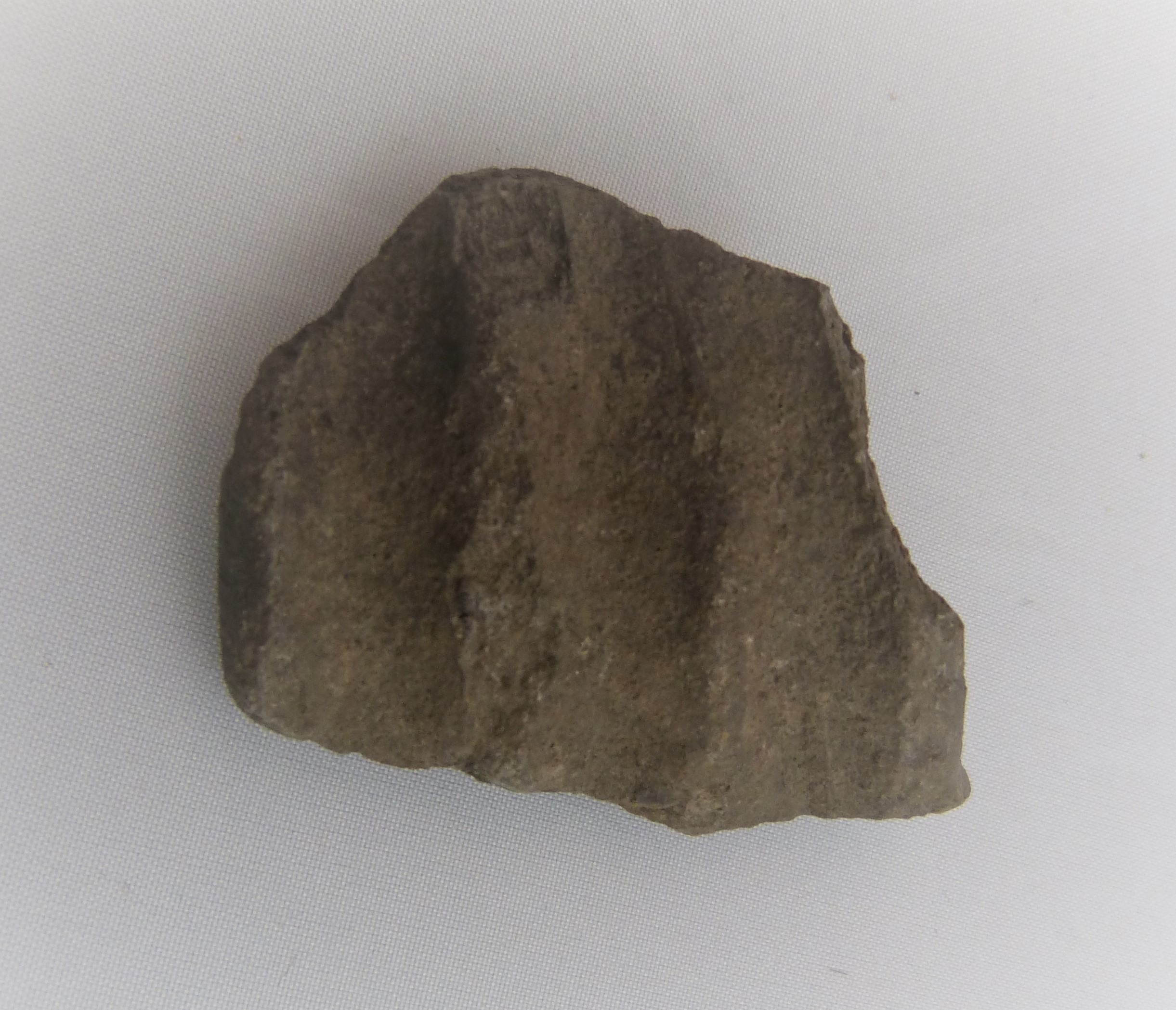 Gefäß, Fragment (Städt. Hellweg-Museum Geseke CC BY-NC-SA)
