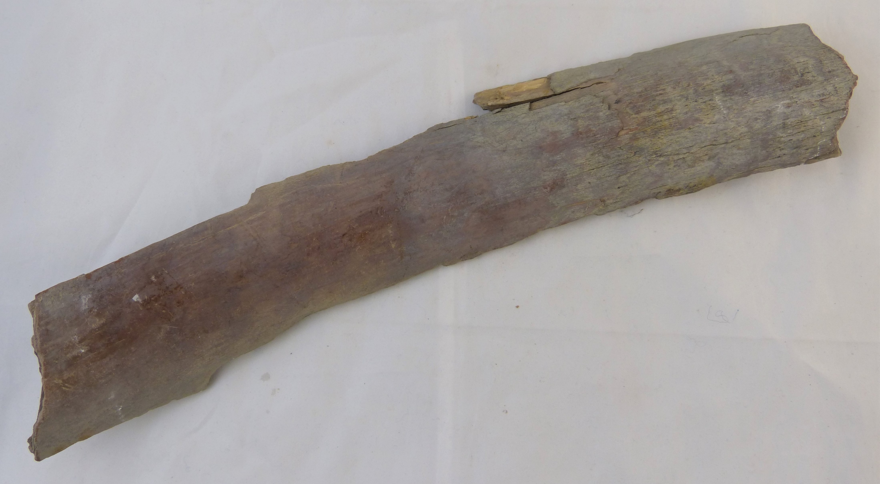 Fragment eines Stoßzahns eines Wollhaarmammuts (Städt. Hellweg-Museum Geseke CC BY-NC-SA)