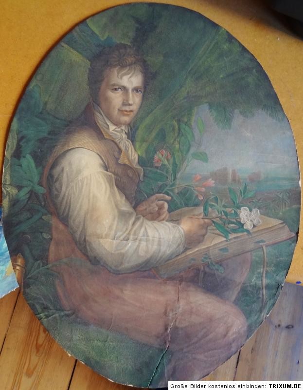 Porträt Alexander von Humboldt (Südsauerlandmuseum Attendorn CC BY-NC-SA)