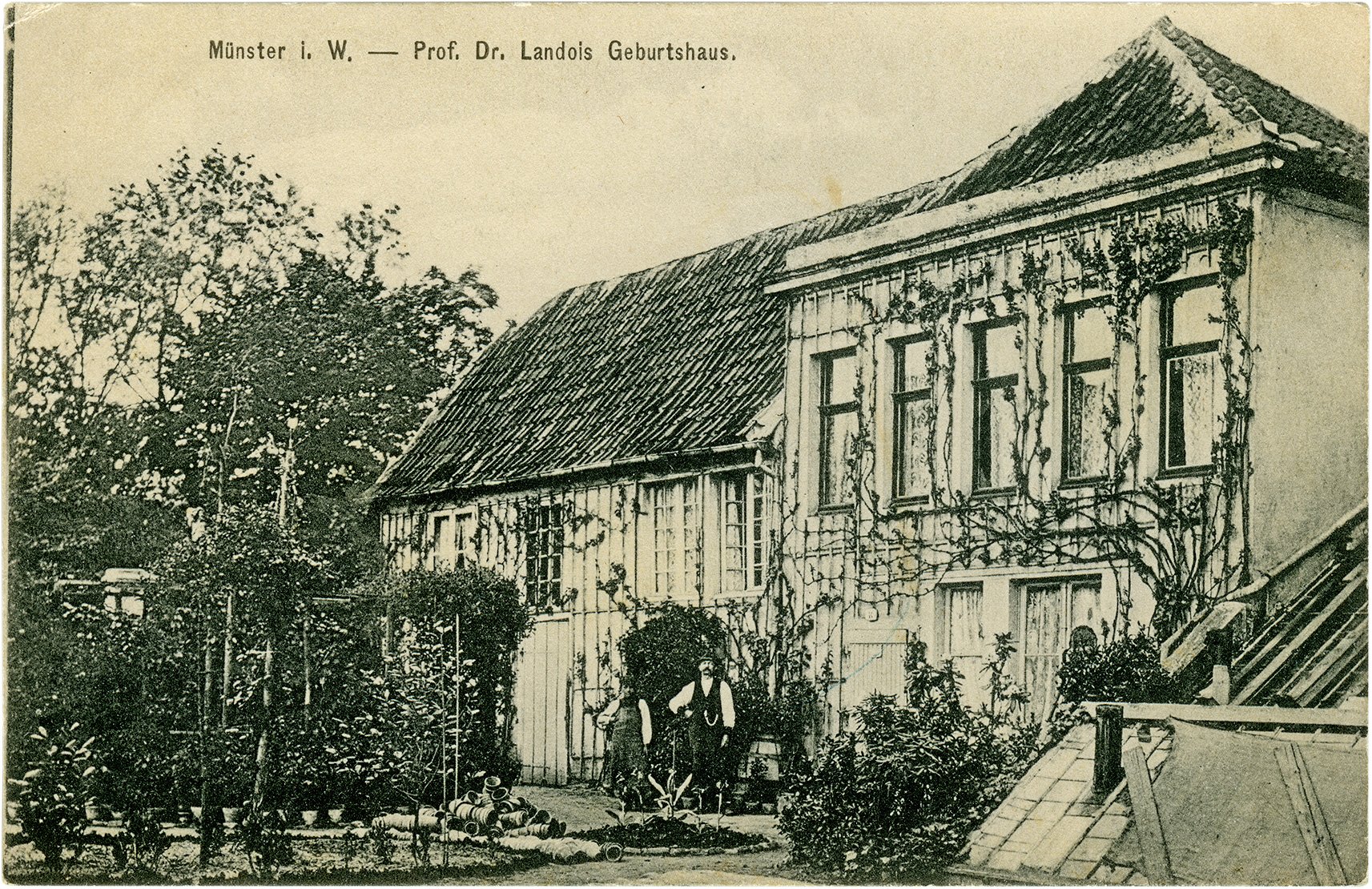 Postkarte: Gärtnerei Fröhling, Hedwigstraße 12 (Stadtmuseum Münster CC BY-NC-SA)