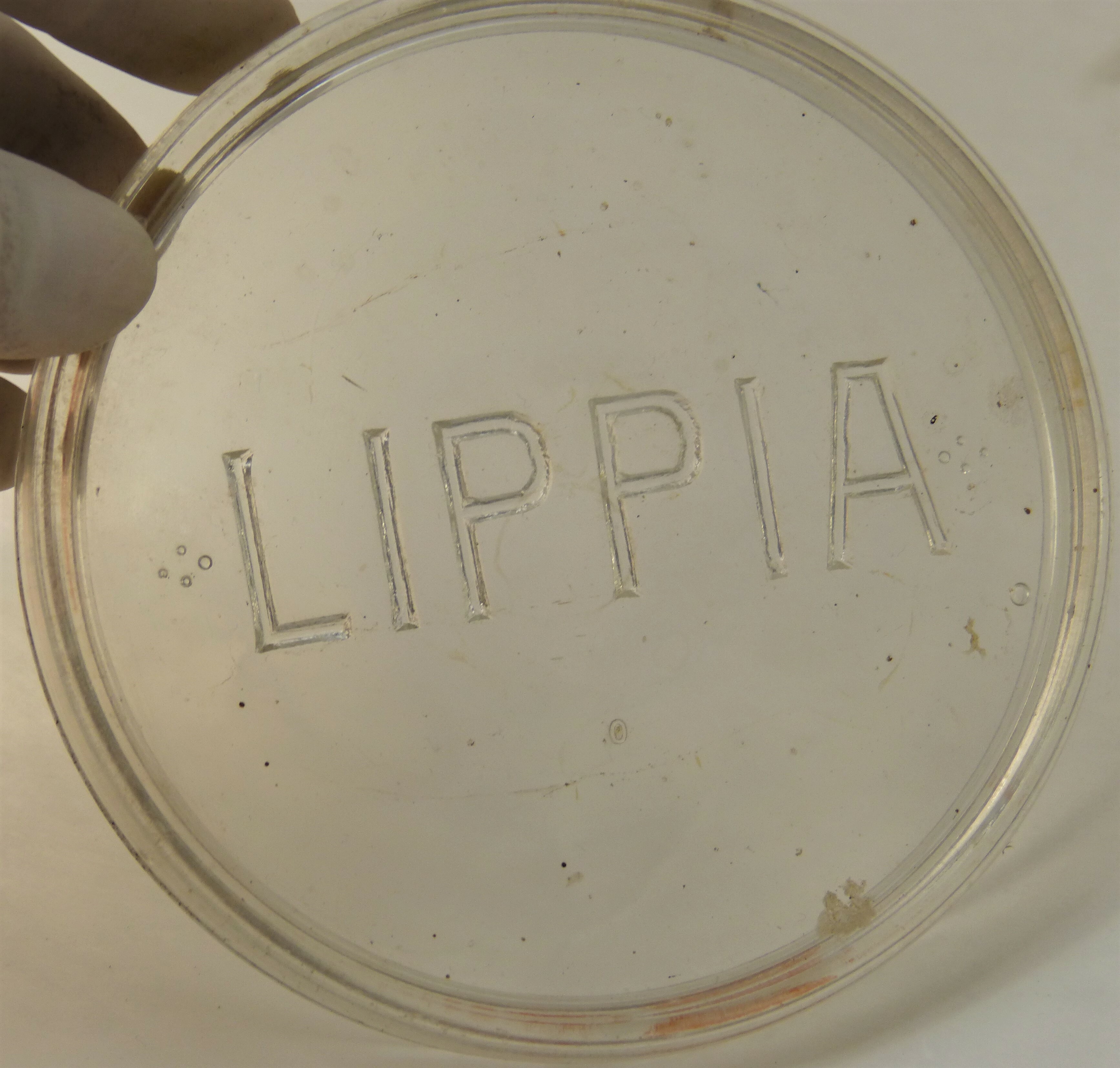 Einmachglasdeckel der Marke Lippia (Städt. Hellweg-Museum Geseke CC BY-NC-SA)