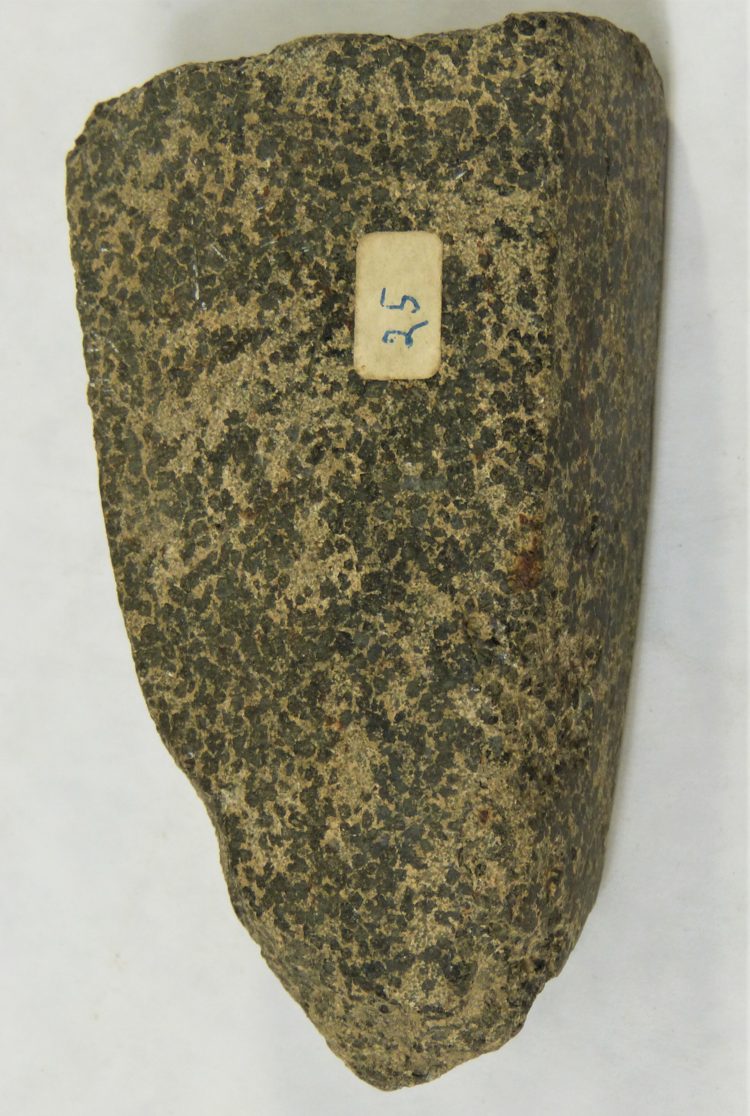 Steinbeilfragment aus Granit (Städt. Hellweg-Museum Geseke CC BY-NC-SA)