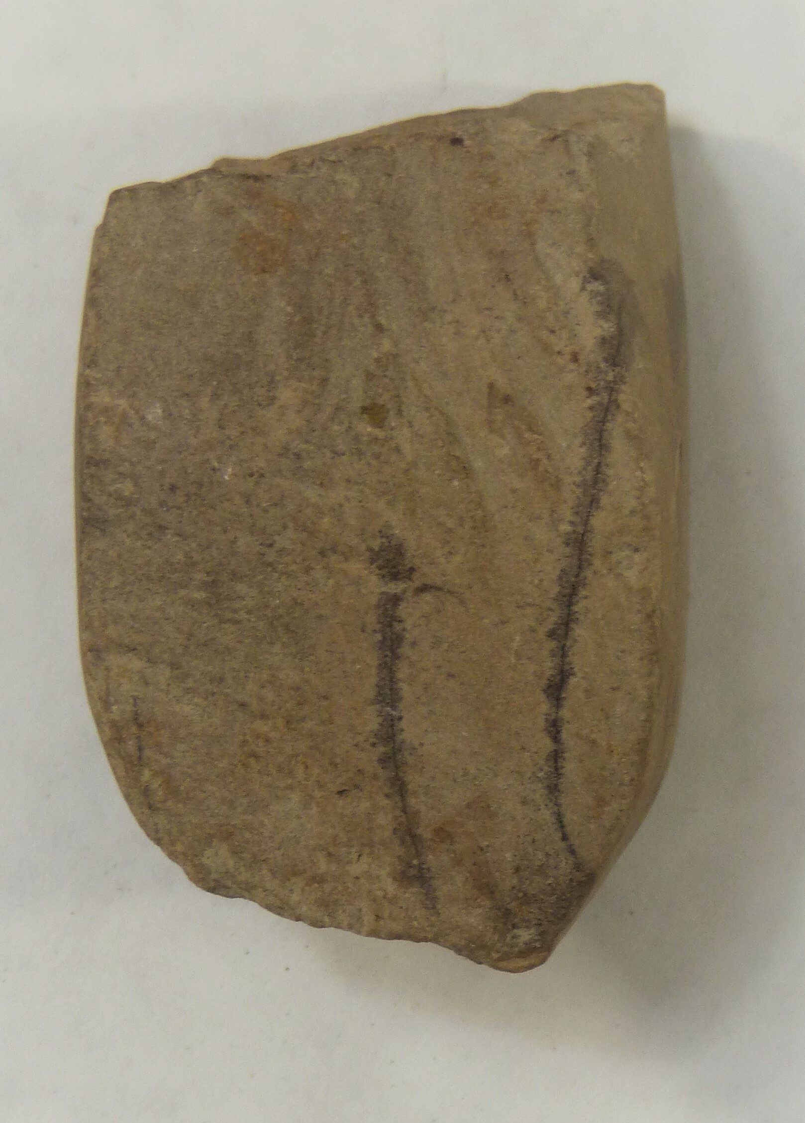 Steinbeilfragment aus dem Neolithikum (Städt. Hellweg-Museum Geseke CC BY-NC-SA)