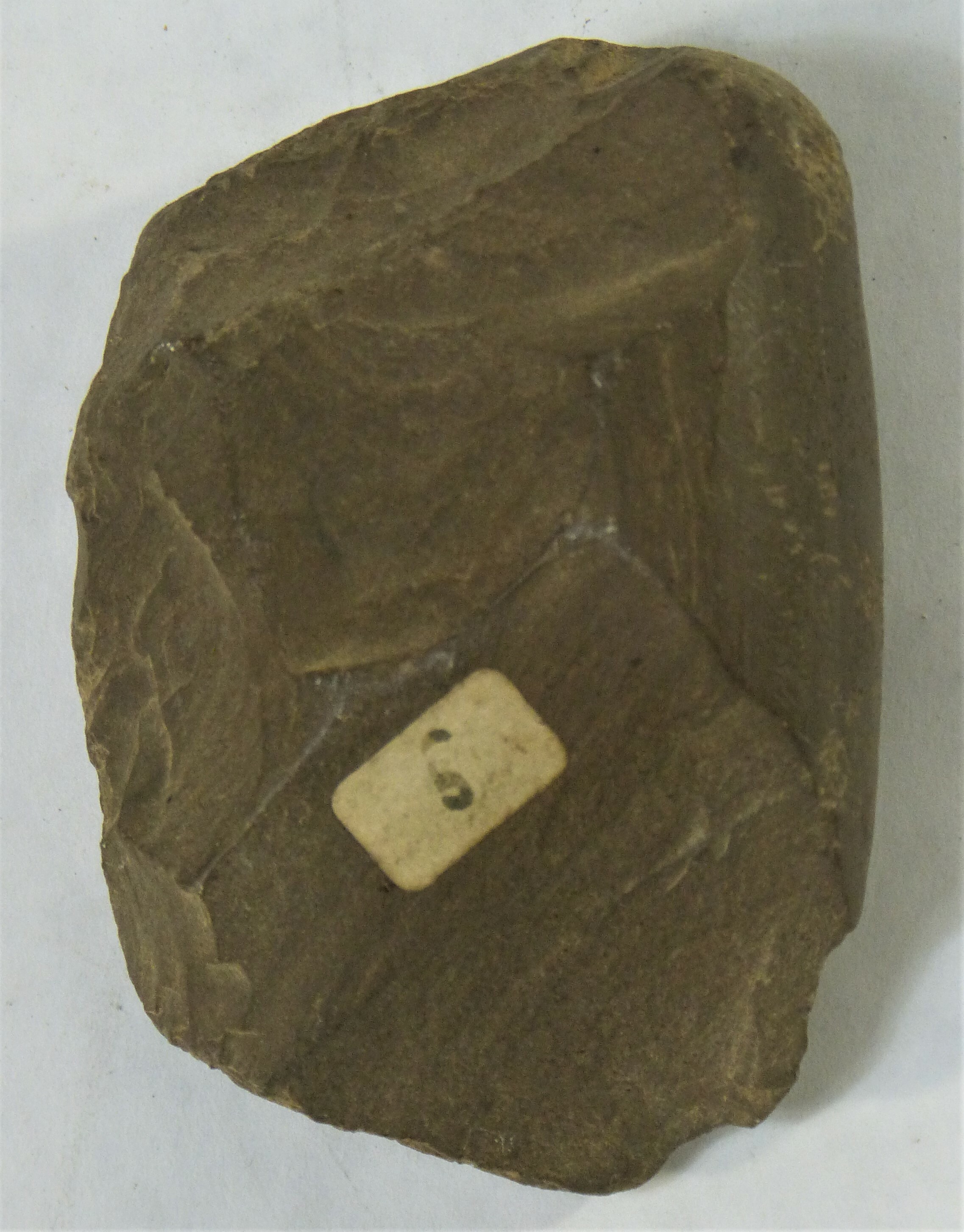 Steinhammerfragmentaus Felsgestein (Städt. Hellweg-Museum Geseke CC BY-NC-SA)