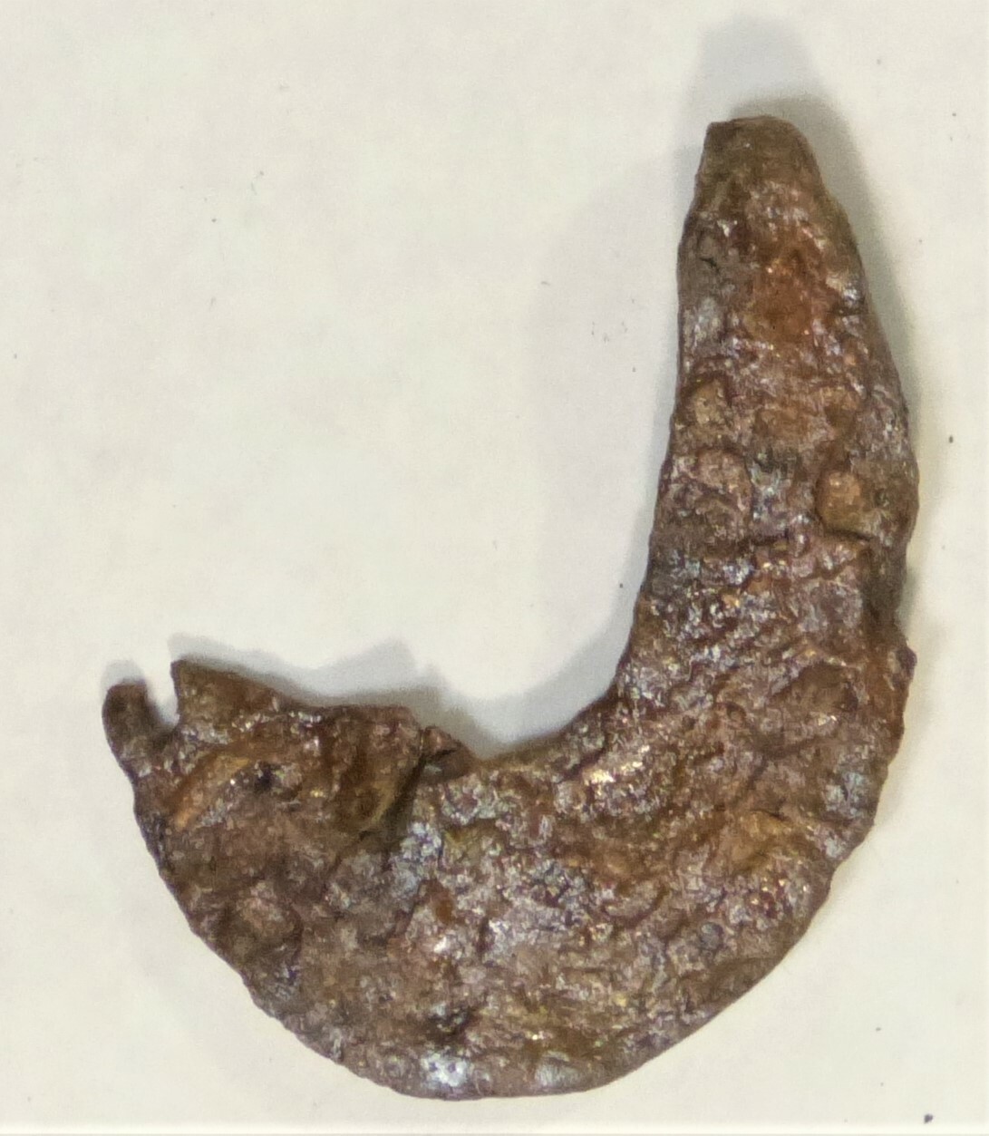 Fragment eines Falzeisens (Städt. Hellweg-Museum Geseke CC BY-NC-SA)