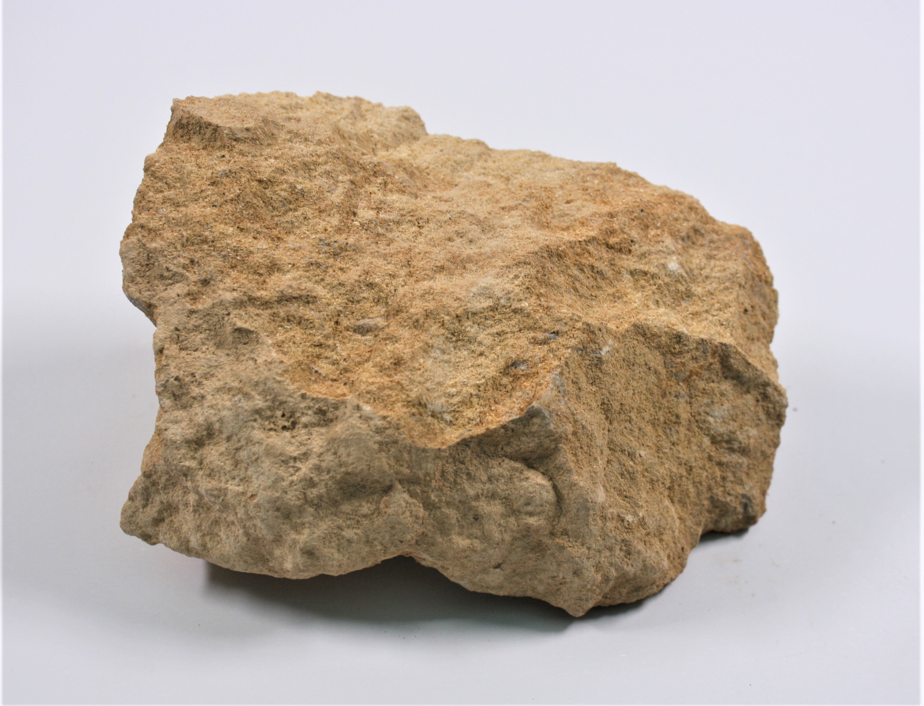 Gesteinsprobe Gildehauser Sandstein (Drilandmuseum CC BY-NC-SA)