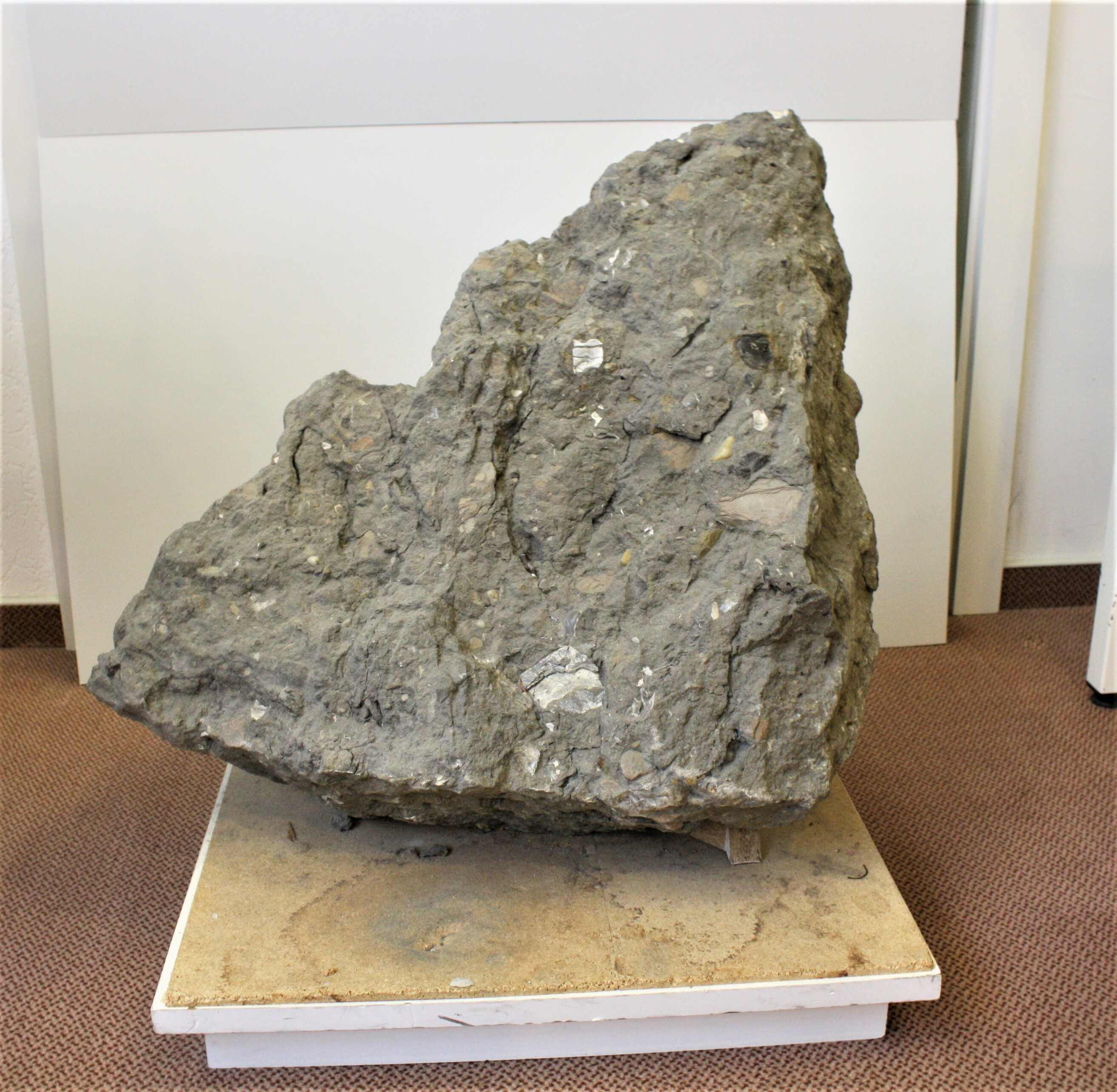 Turbidit (Schlammgestein) (Drilandmuseum CC BY-NC-SA)